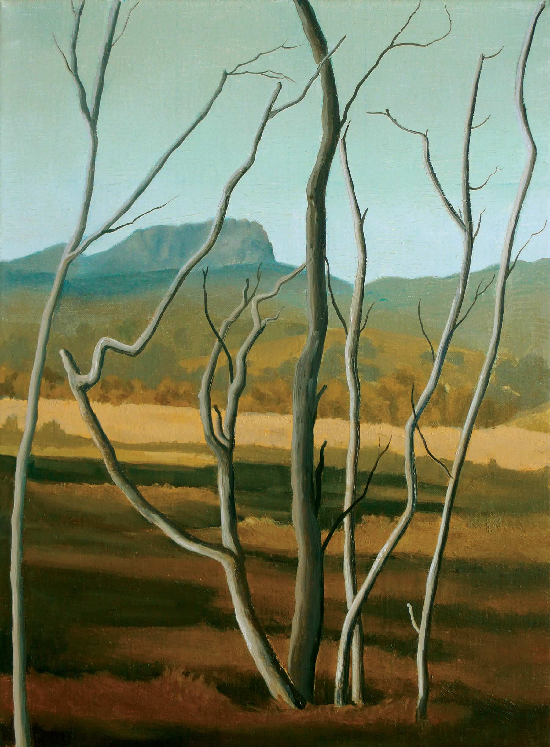 Painting by artist David Keeling, titled Uplands (2007) showing a stand of small dead eucalyptus tree trunks in the foreground and a heathland that gives way to a mountain range in the distance.