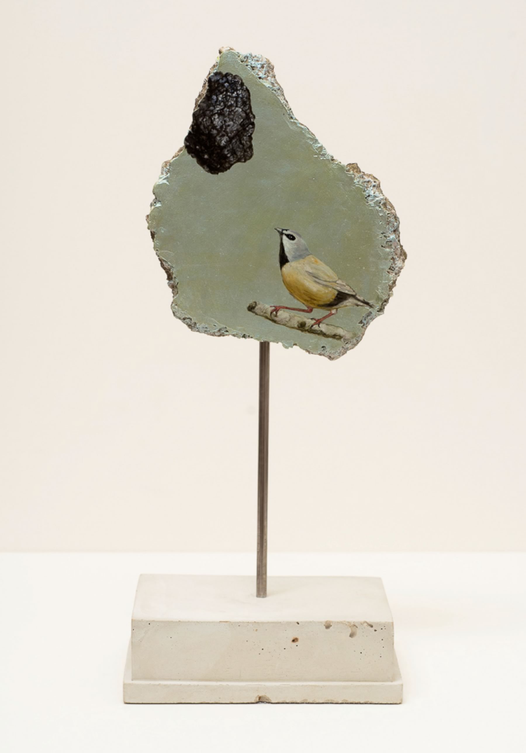 Sculpture by artist Helen Wright, titled The black throated Finch meets Adani (channelling my inner Goya) (2019) made from a piece of concrete fixed to a plinth with a metal rod. The surface is painted with a blue iridescent paint and features a bird looking at a lump of coal.
