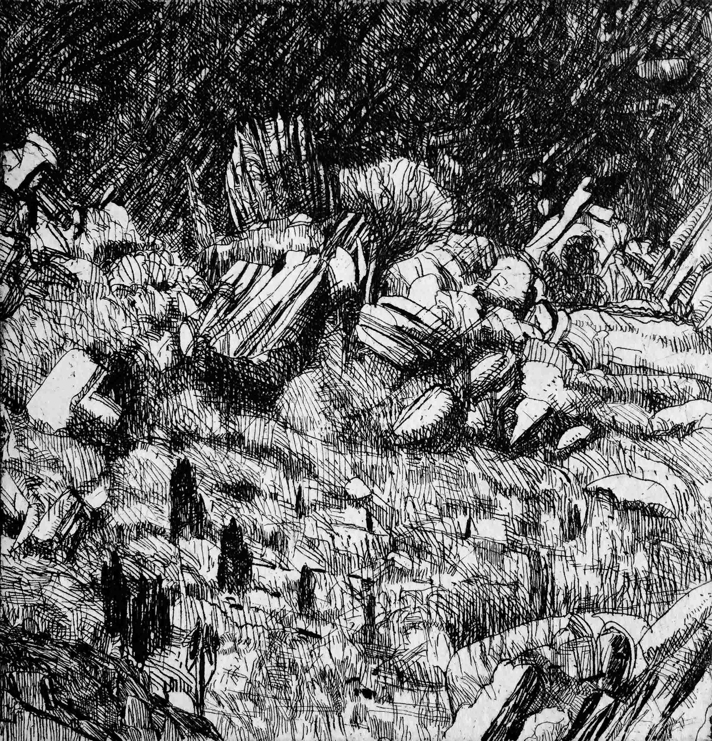 Etching by artist Raymond Arnold titled Mt Lyell V (2012) showing a black and white landscape strewn with rocks with an occasional tree.