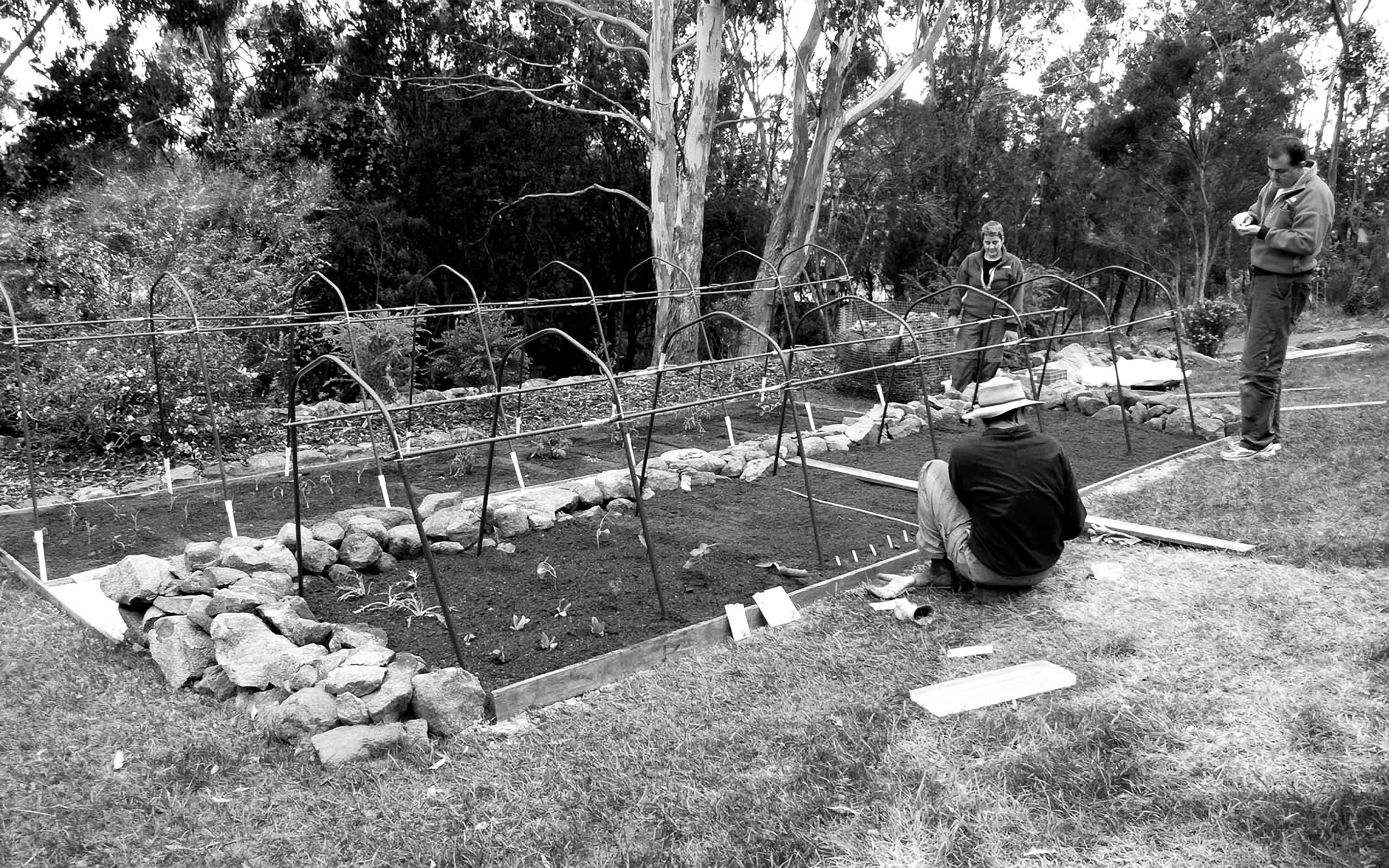 Black and white photograph taken in 2011 showing the original two garden beds being planted out by Robin, Tracey and Michael. Image by Lynda.