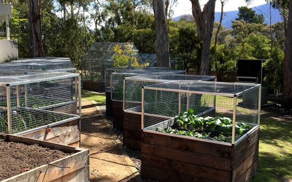 Food Garden – Green living at The Box | OUTSIDE THE BOX / Earth Arts Rights