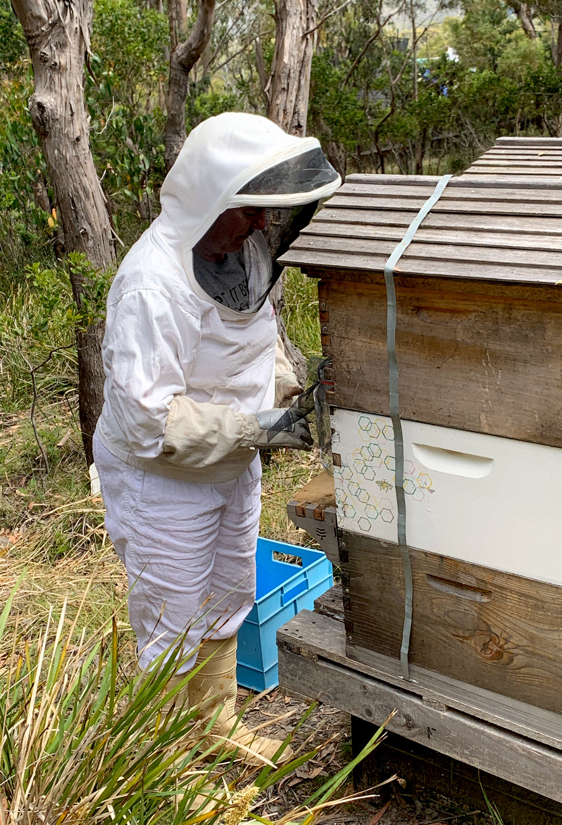 Robin in her protective white bee suit pictured tending the bee hives.