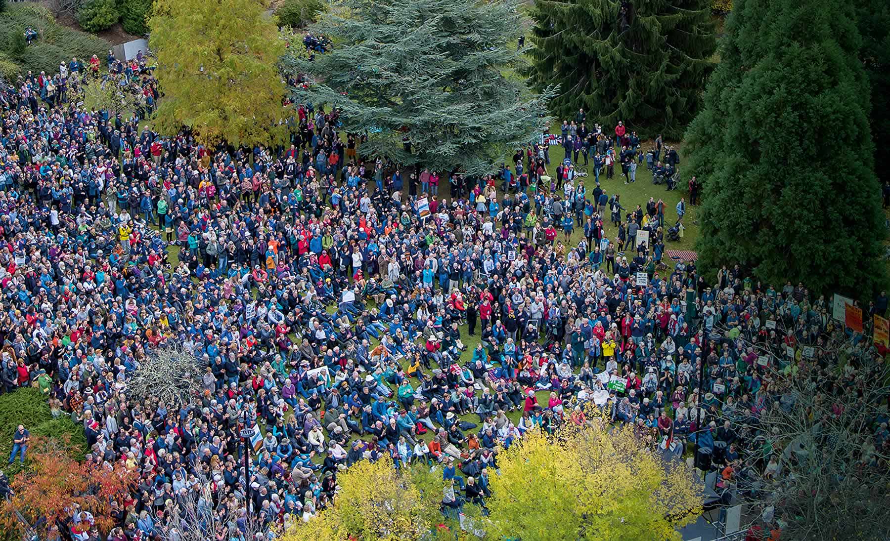 Picture from above of a large crowd assembled in the Cascade Gardens, Hobart, to protest against the proposed cable car development on kunanyi / Mount Wellington. Photo: Rob Blakers.