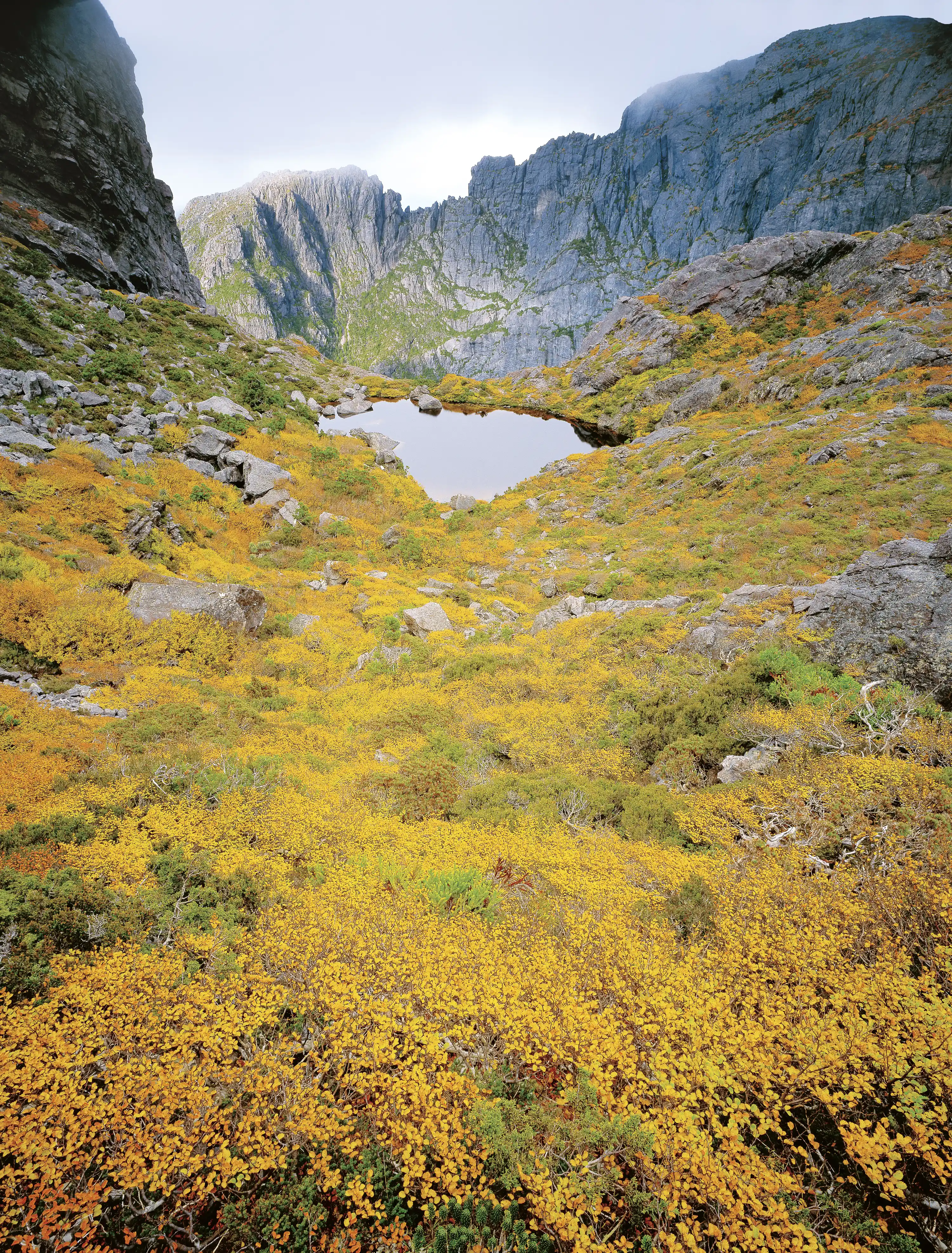 A steep dolerite mountain landscape and an alpine tarn surrounded by fagus with its leaves turning yellow.