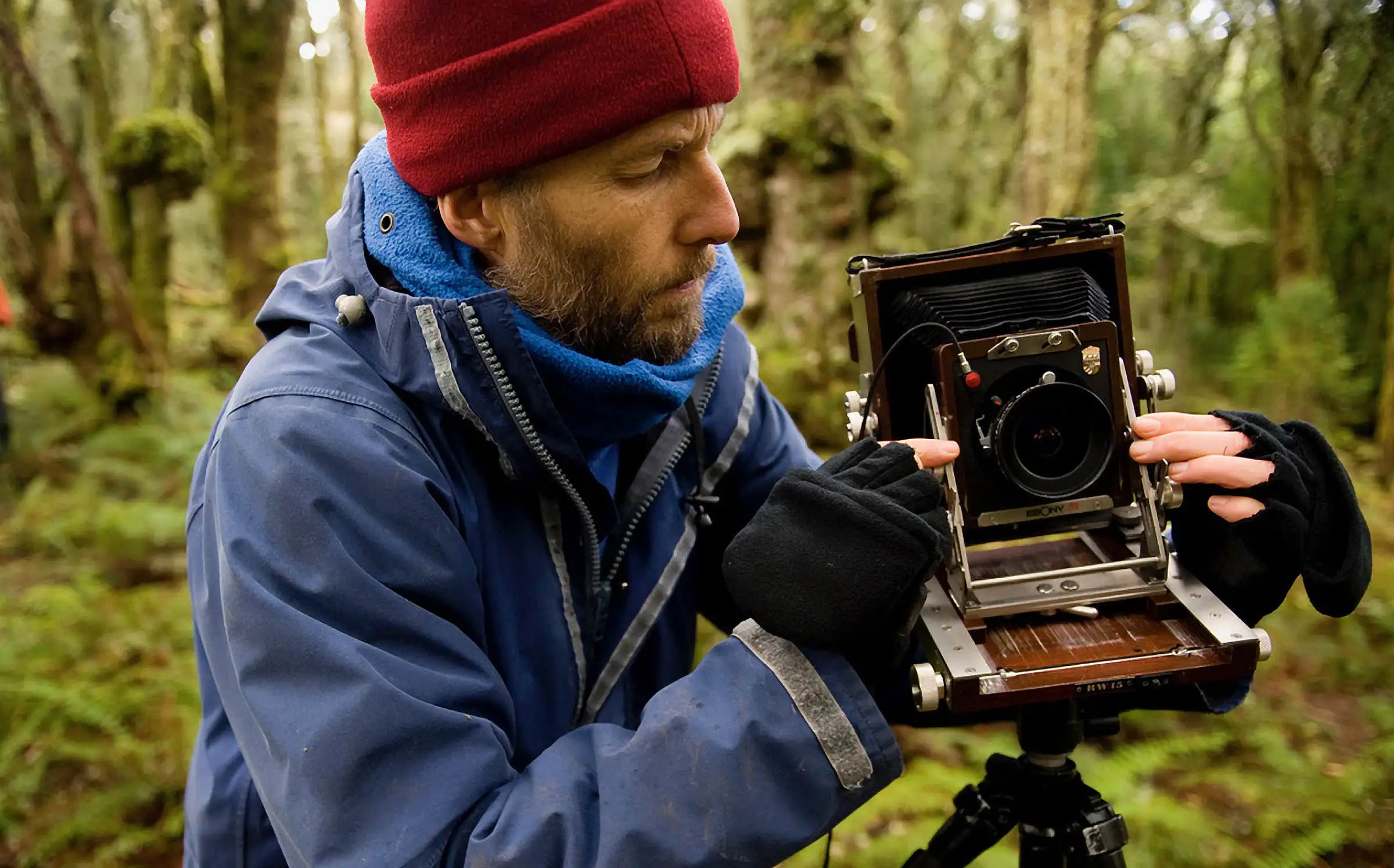 A portrait of a man in a blue rain jacket, black fingerless gloves and red beanie standing in a moss-laden forest leaning over a large-format camera and tripod.