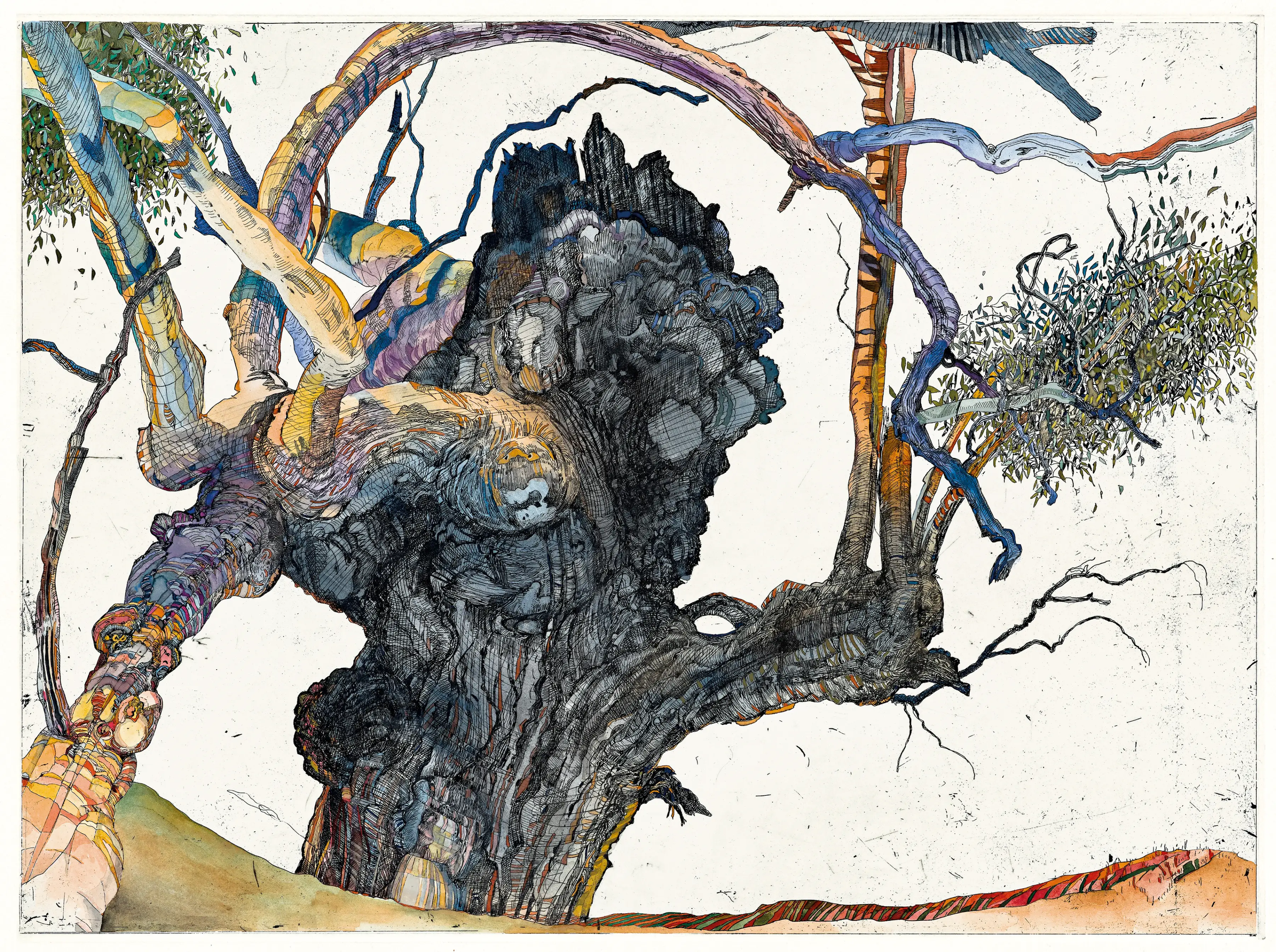 Stylised image of a giant river red gum with a thick black trunk and colourful twisted branches.