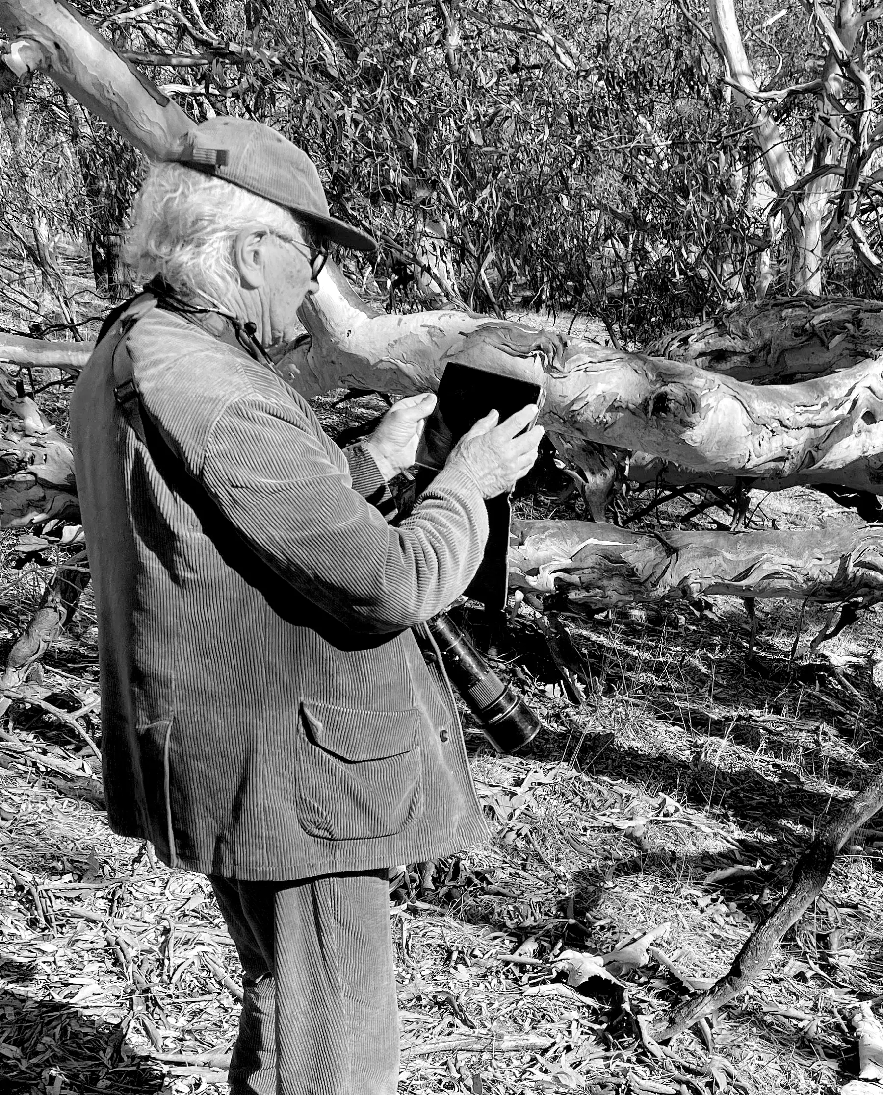 A black and white photograph of a man in a forest landscape. He is wearing a peaked cap and taking a photograph of a tree trunk.