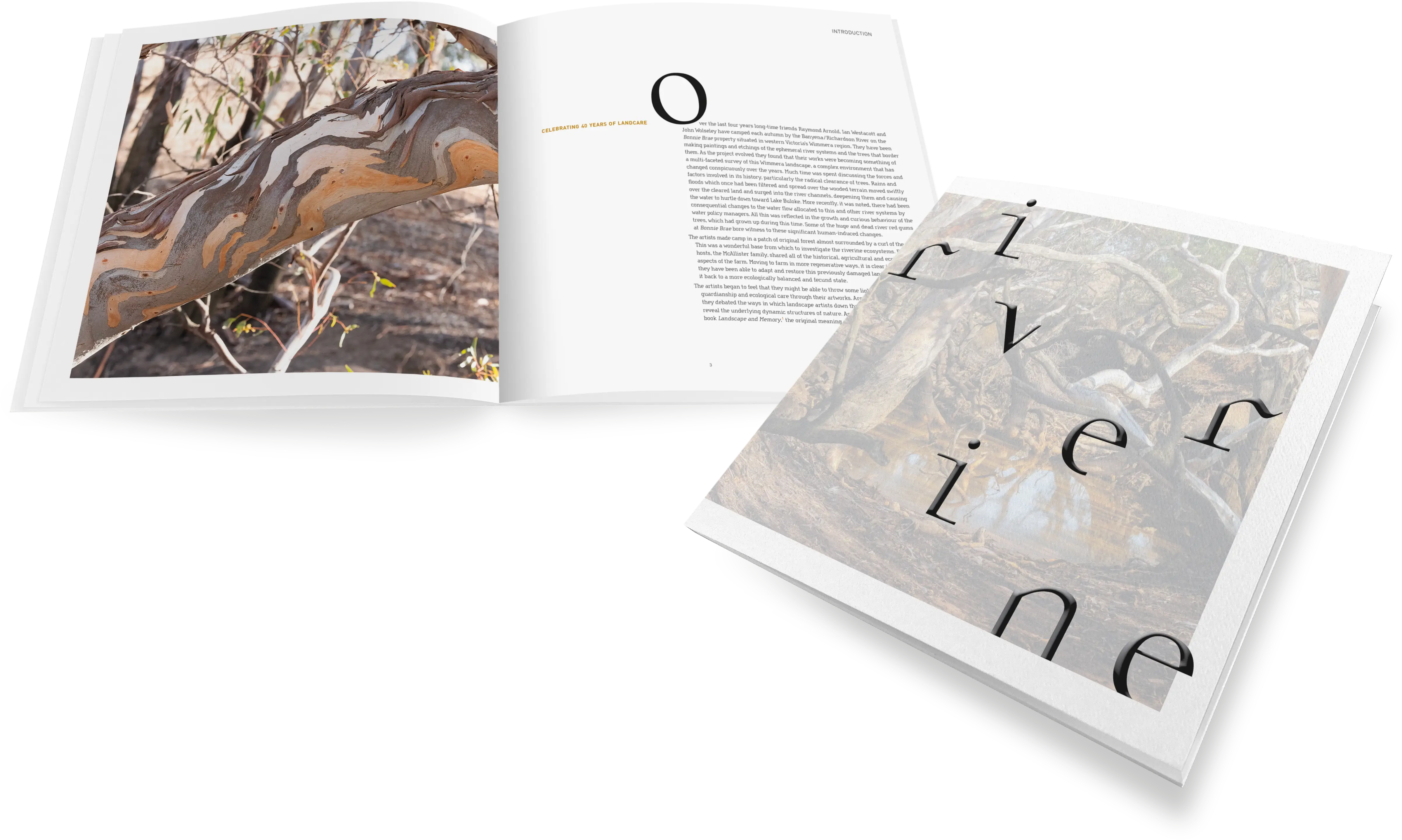 An image of a book cover with scattered lowercase black text spelling out the word &lsquo;riverine&rsquo;. It overlays a double-page spread from the book with a close up photograph of a tree branch with orange and brown bark on the left-hand side and essay text on the right-hand side.