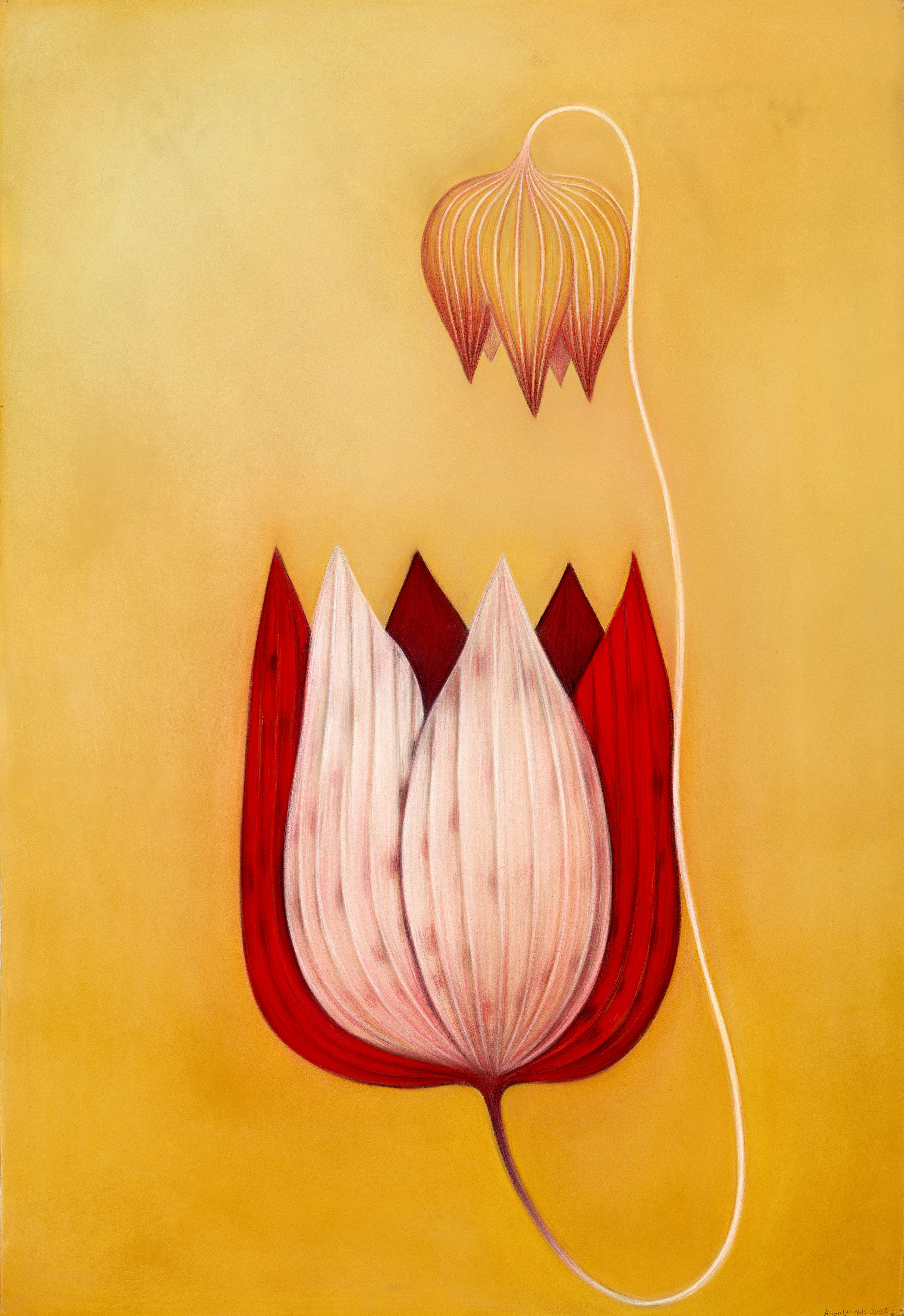 An image of a large pastel drawing of a strangely beautiful red and orange imaginary flower with pointy segmented petals.