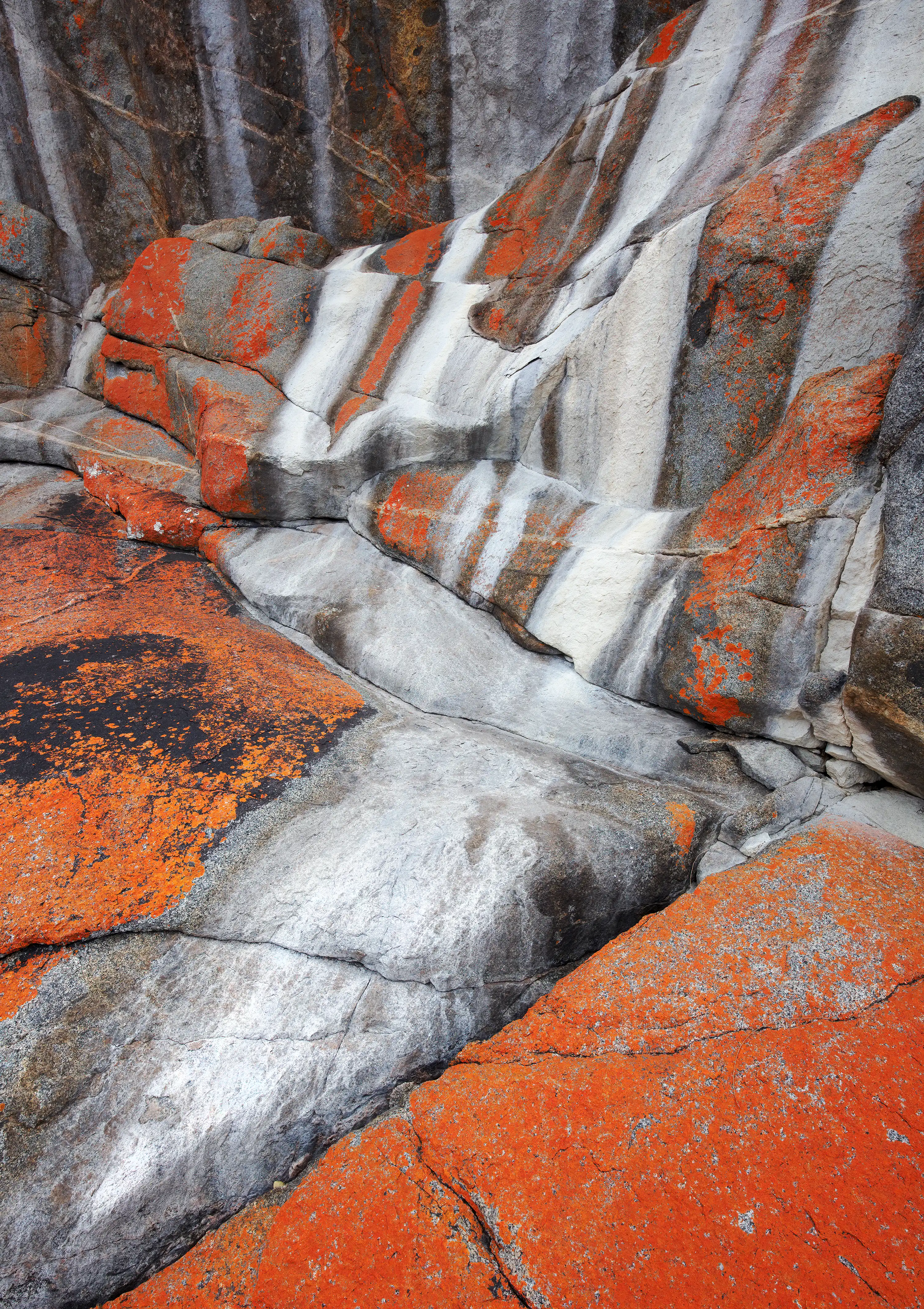 An image of bright orange lichen and white mineral salt stains on rock.