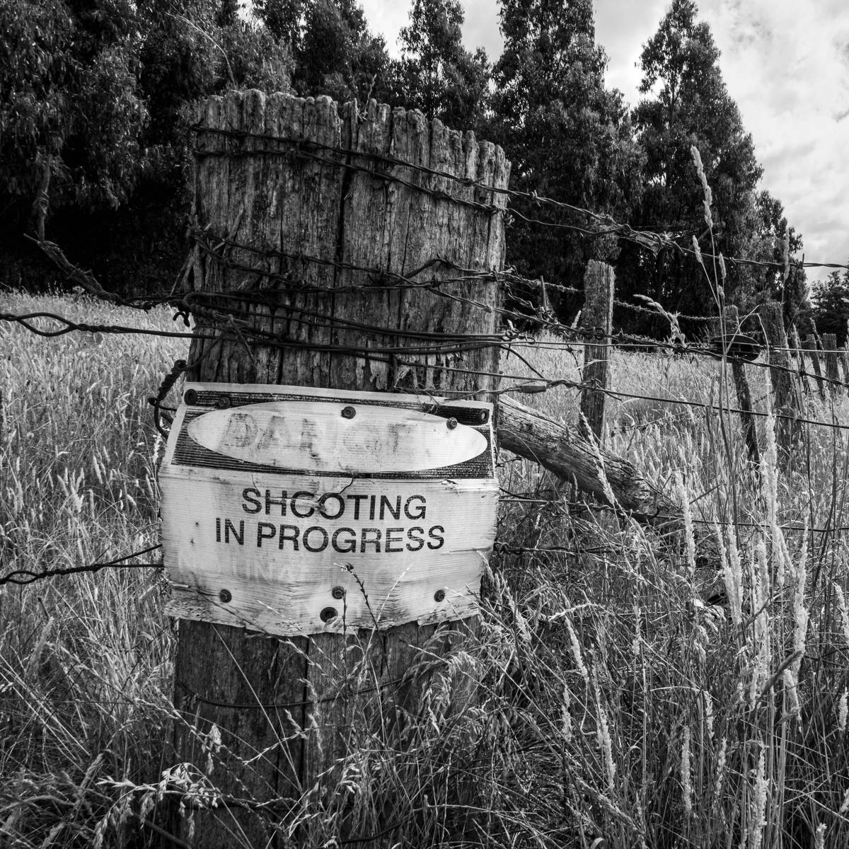 An image of a corner barbed-wire fence post in a field with a sign that reads ‘DANGER SHOOTING IN PROGRESS’. There is a row of pine trees in the background.