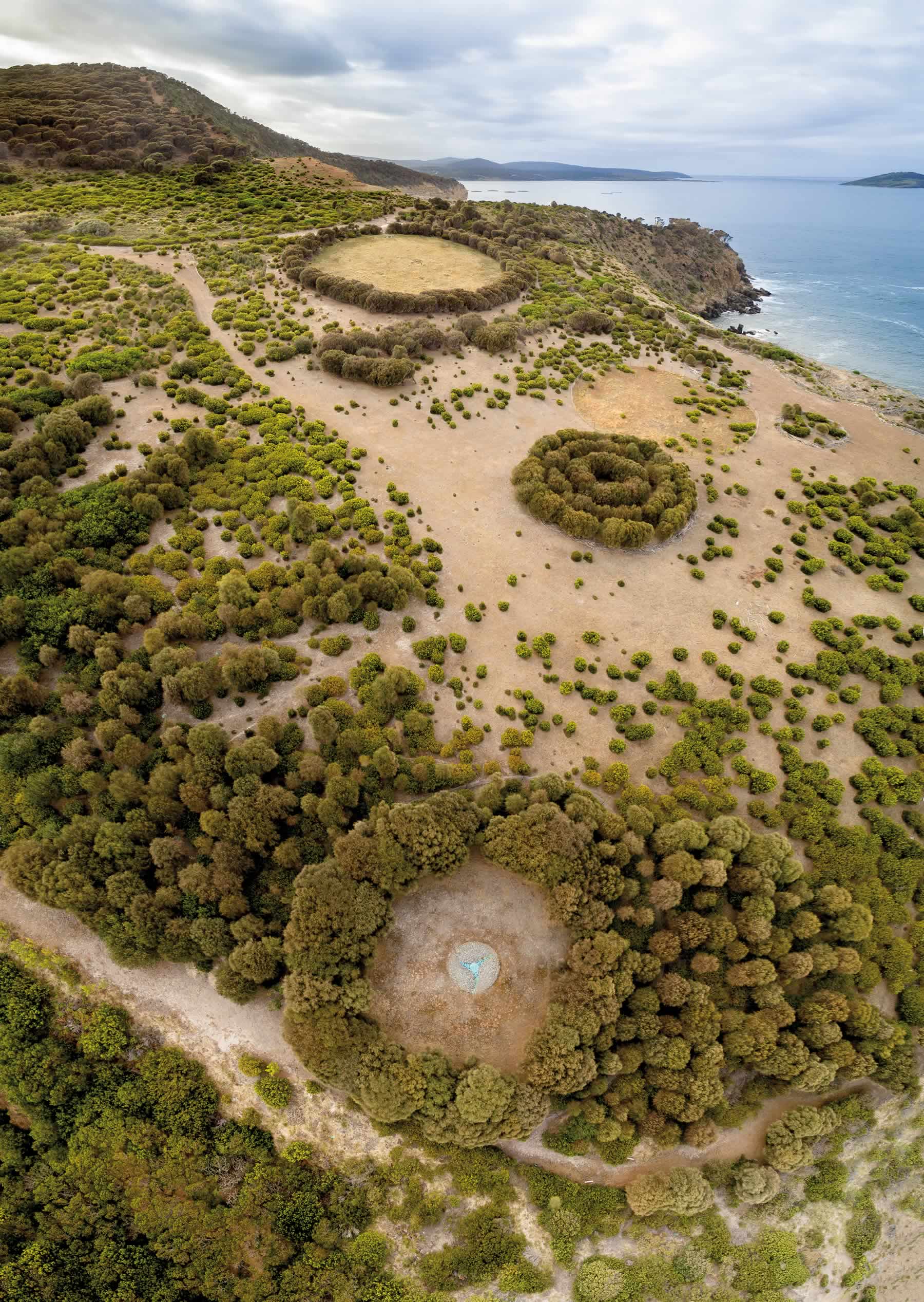 Photo from the air of three circular landscape feature plantings with the ocean behind. Photo: Dan Bailey.