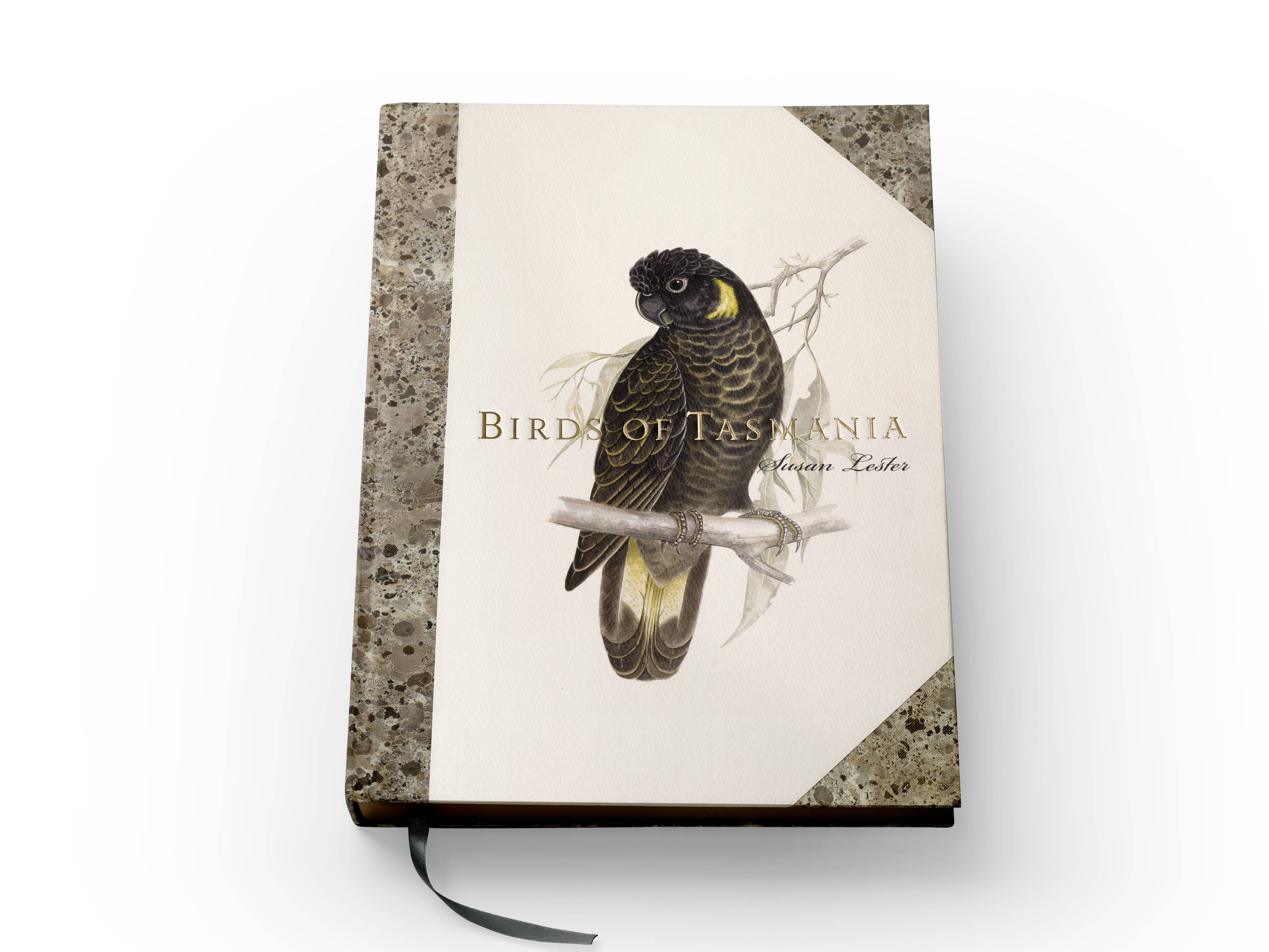 The front cover of the ‘Birds of Tasmania’ by Susan Lester book, with a Yellow-tailed Cockatoo ‘Zanda funerea’ and gold and black foil titling.