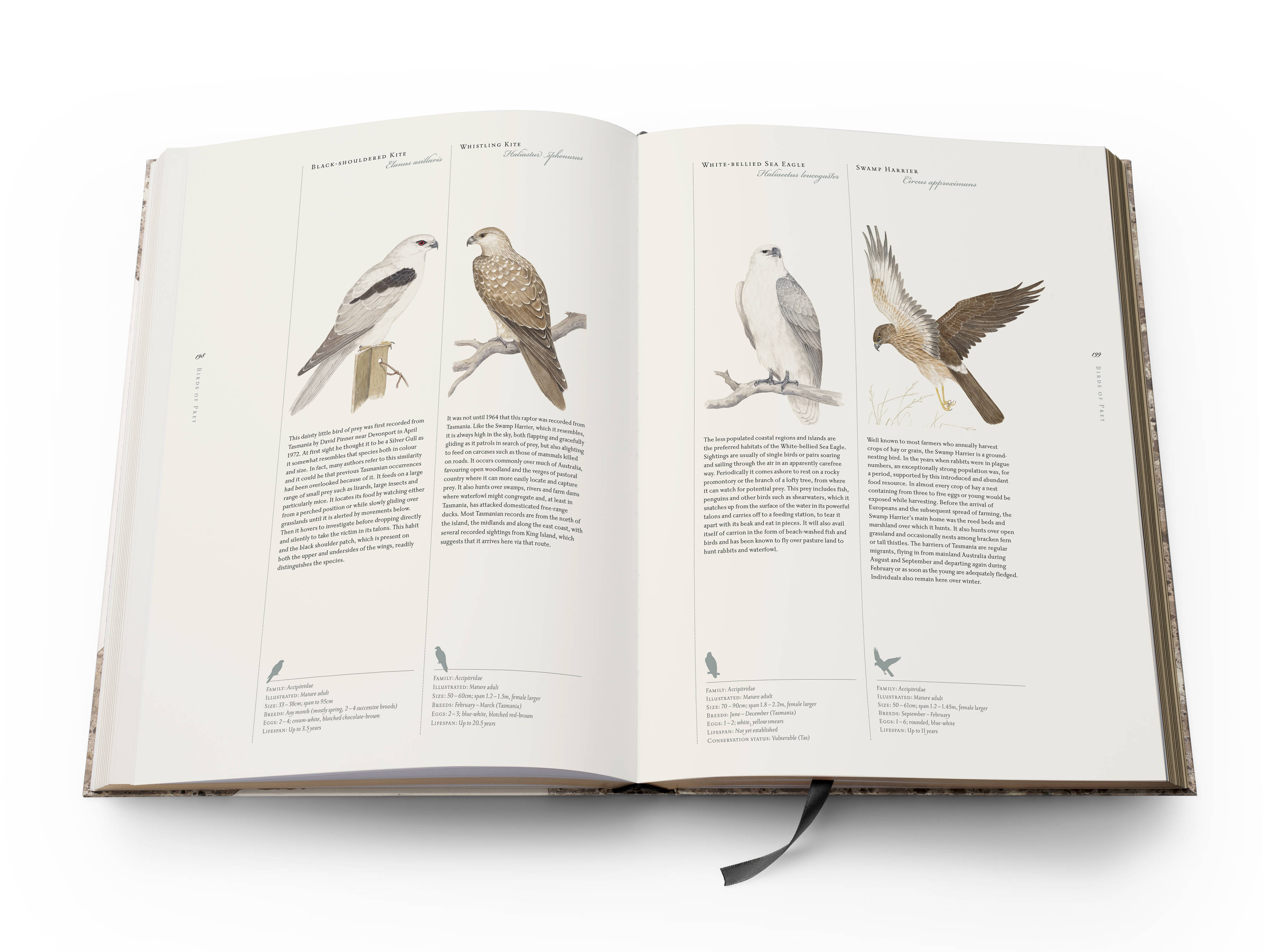 A double page spread from the book with 4 half-page colour plates pictured from left to right: Black-shouldered Kite ‘Elanus axillar’, Whistling Kite ‘Haliastur sphenurus’, White-bellied Sea Eagle ‘Haliaeetus leucogaster’ and Swamp Harrier ‘Circus approximans’.