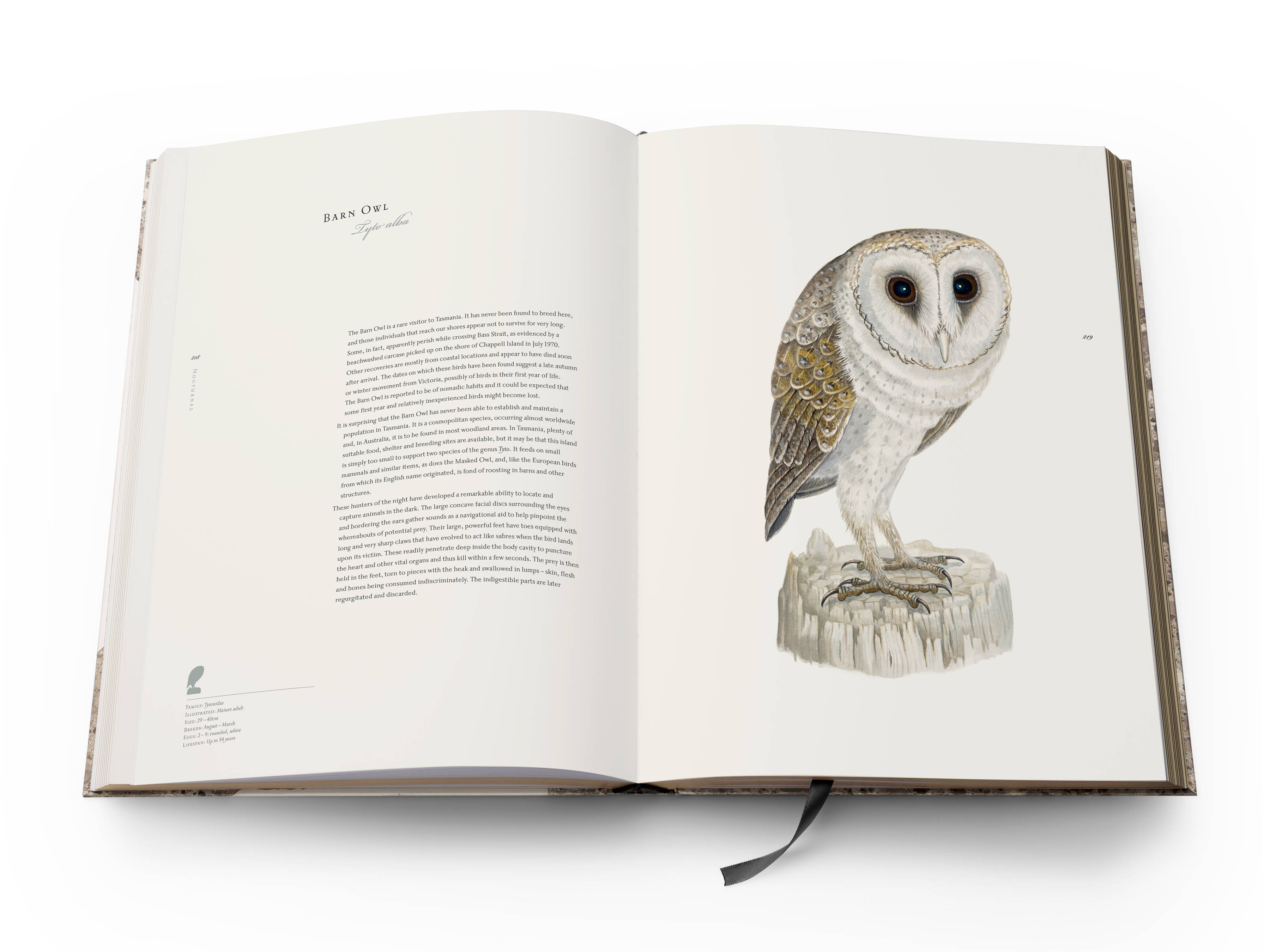 A double page spread from the book with text on the left and a full-page colour plate of a Barn Owl ‘Tyto alba’ on the right.