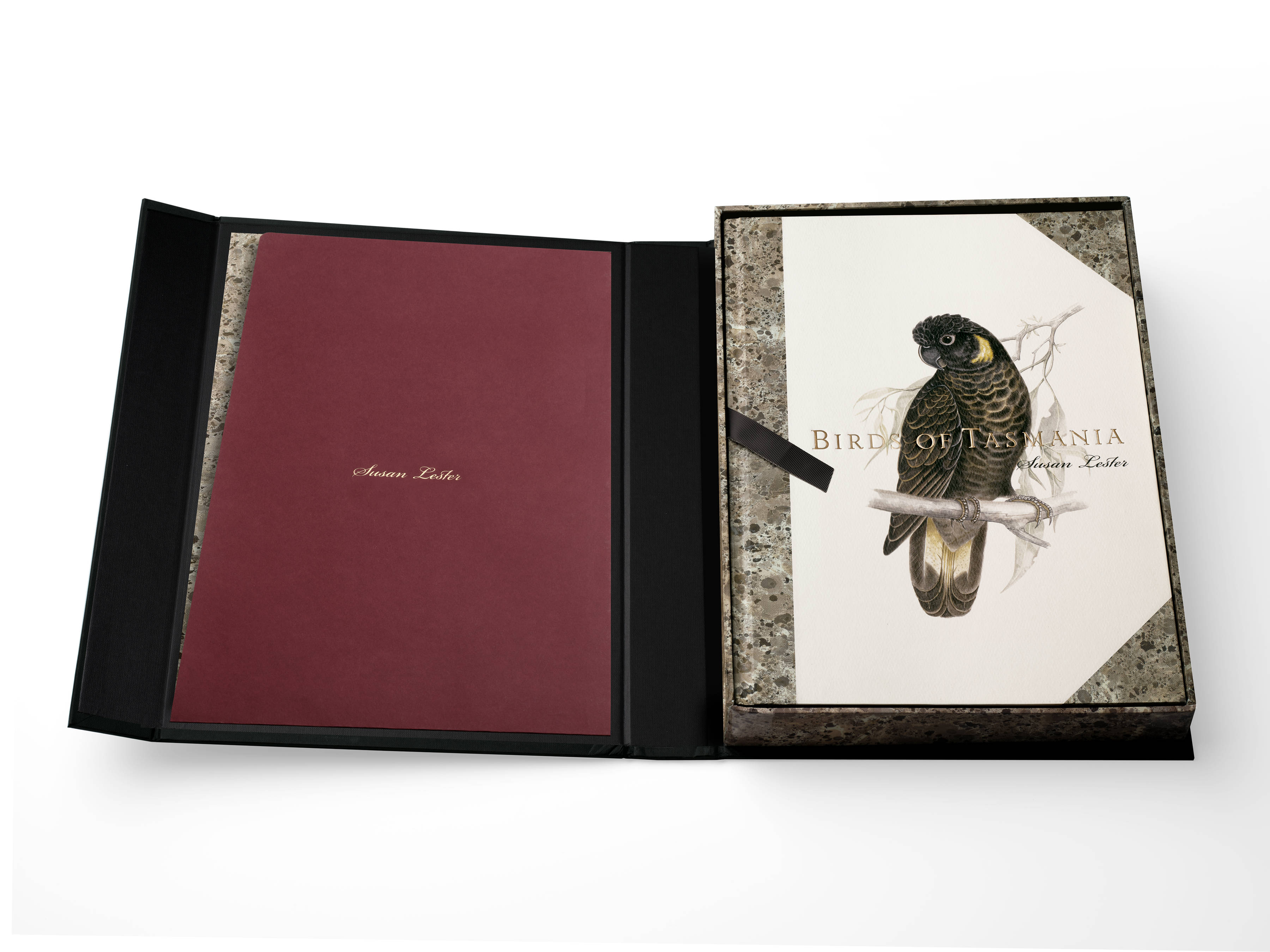 An image of a fully open ‘Birds of Tasmania’ by Susan Lester clamshell presentation box, the book, with a Yellow-tailed Cockatoo ‘Zanda funerea’ and gold and black foil titling is held in the tray on the right. On the left is a claret-red folder with gold foil titling of Susan Lester’s name. This is the folder that holds the archival print of the bird of your choice.