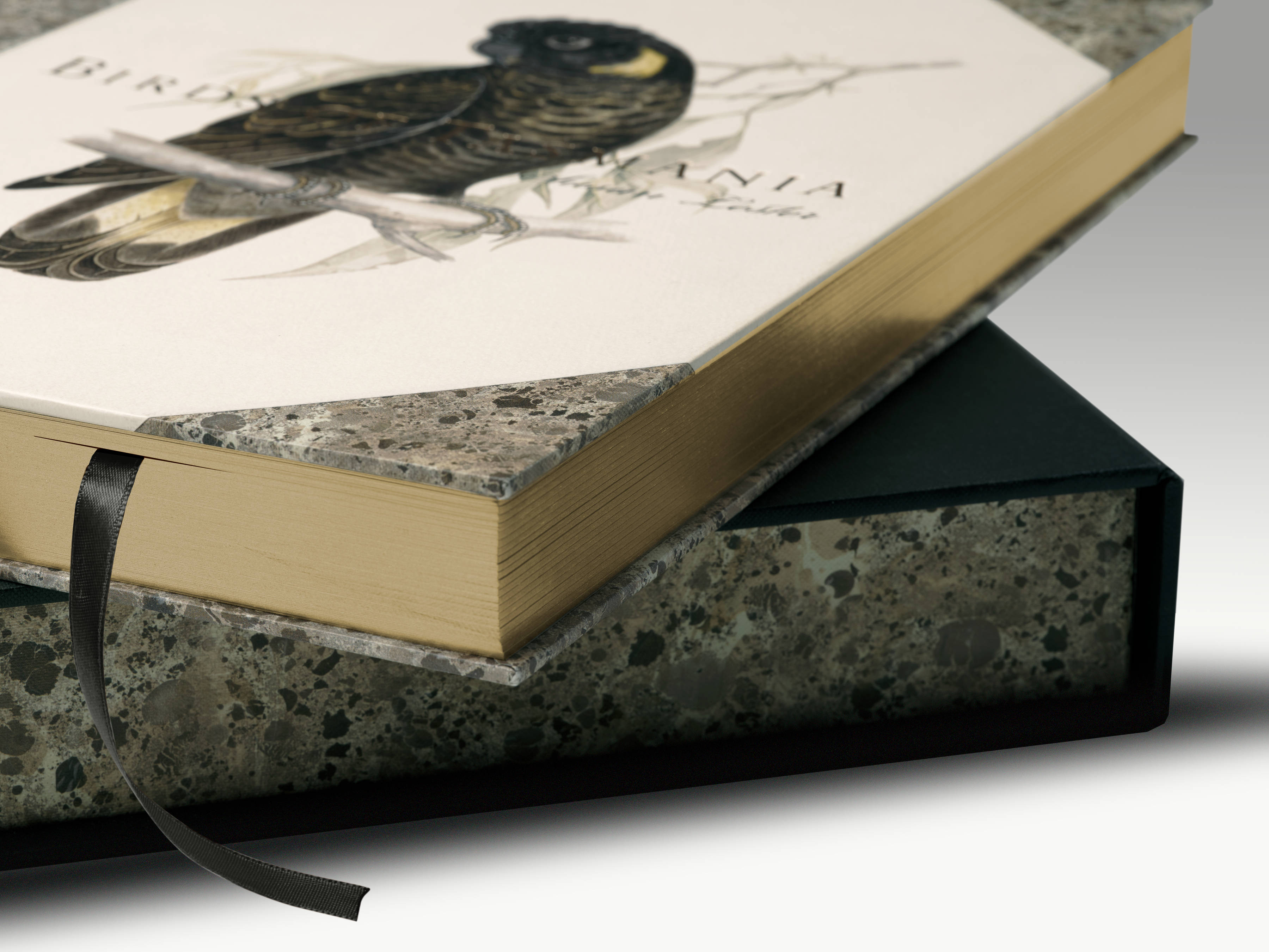 A close-up of the ‘Birds of Tasmania’ by Susan Lester book showing gold foil gilding of the book’s exposed edges.