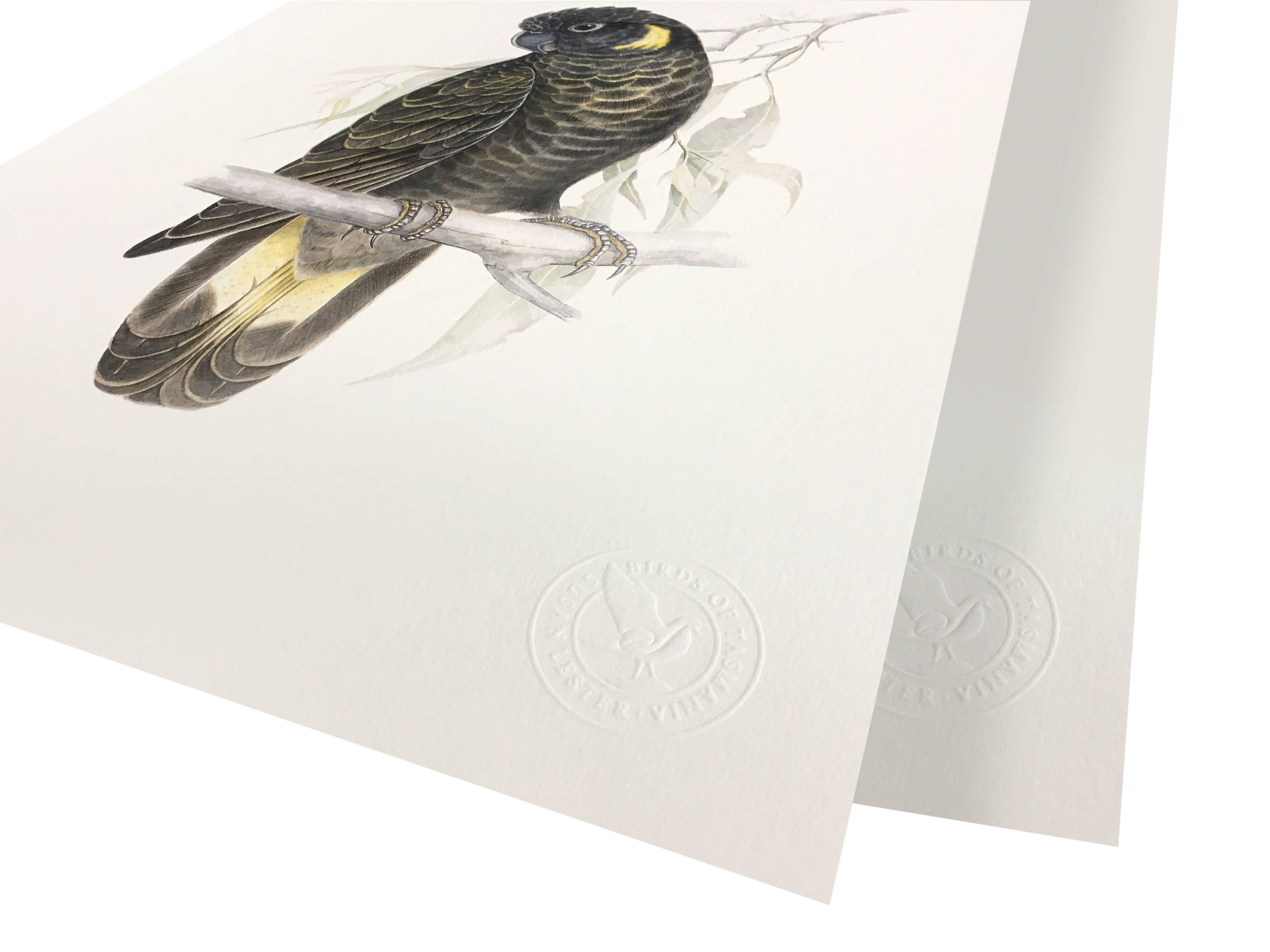 A close-up of the embossed seal which indicates the authenticity of the fine art digital archival prints.