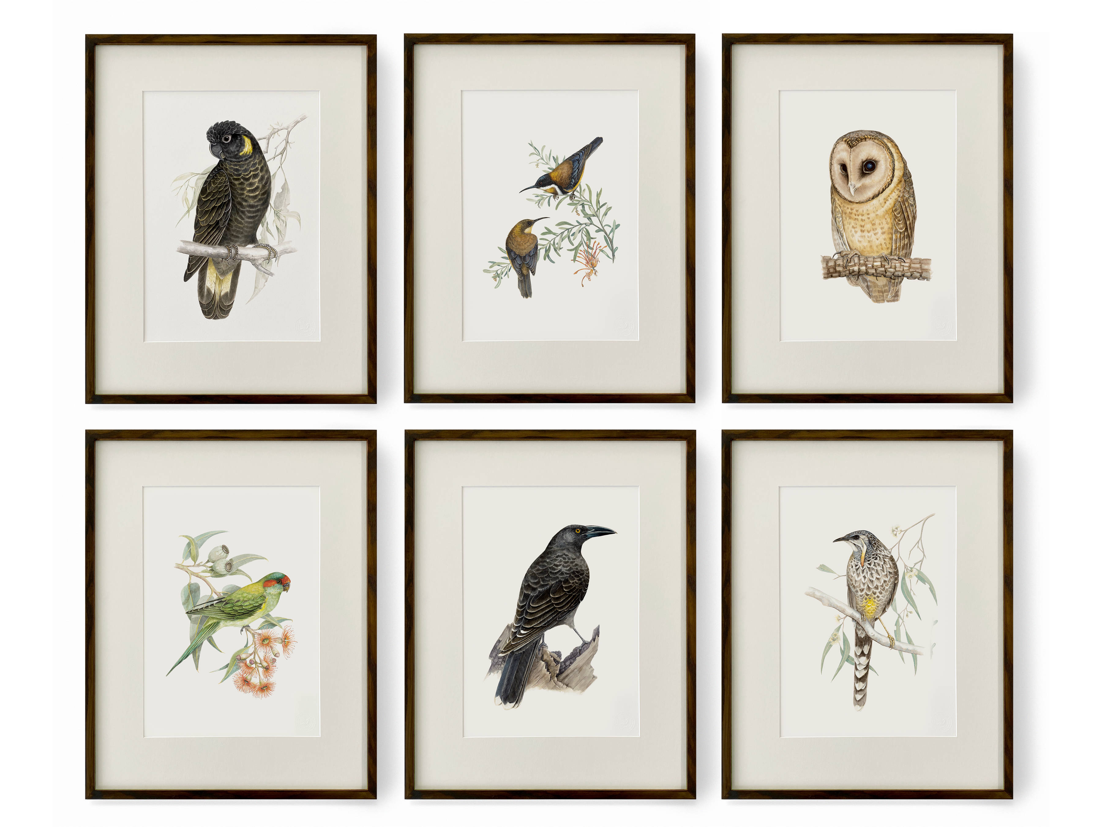 An image of a grid of six bird prints.