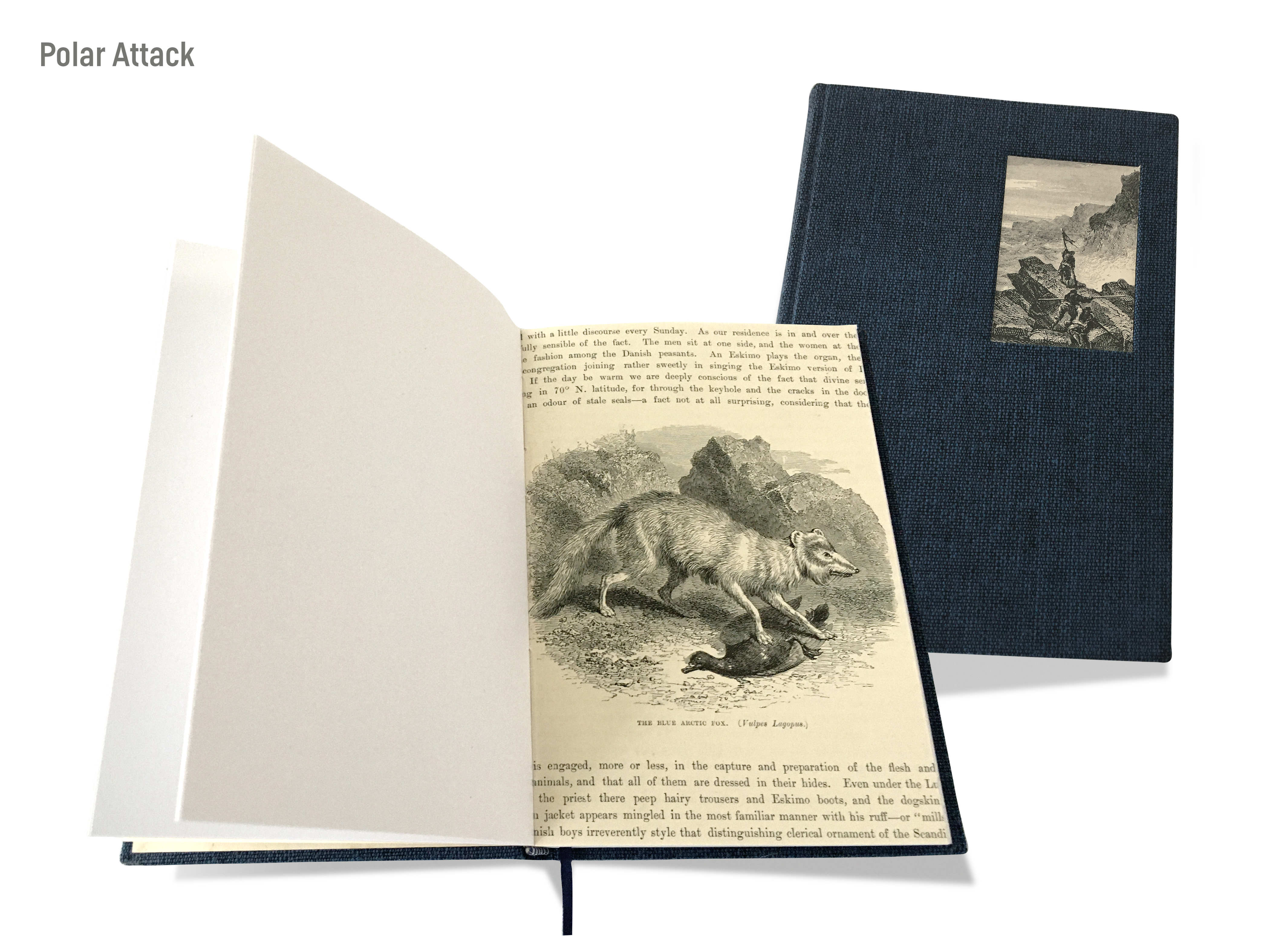 A montage image of a cover and a double-page spread of the hand-made journal titled, ‘Polar attack’ by Michael Small, featuring a dark grey linen cover with a line engraving of a flag raising by arctic explorers and a double-page spread with a blank page and text with a line engraving of a blue arctic fox.