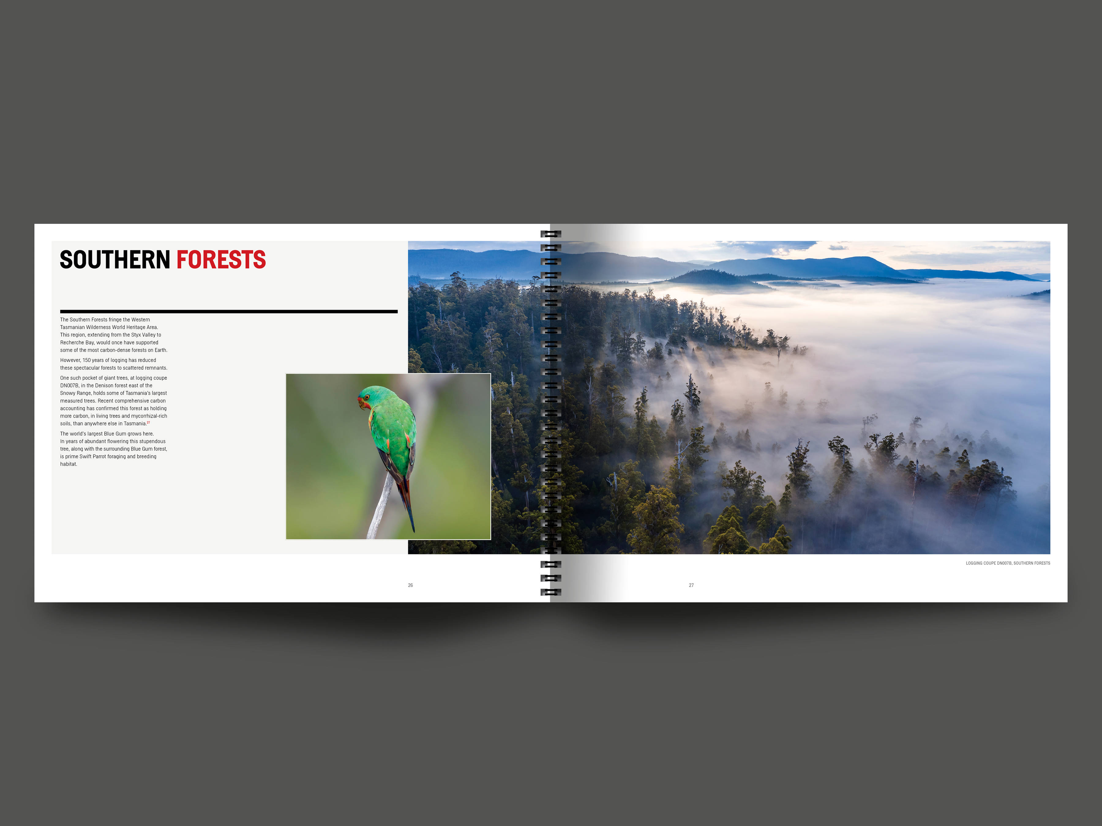 A double page spread from the book featuring text about the Southern Forests on the left and a full page image of the Southern Forest landscape on the right. Images by Rob Blakers.