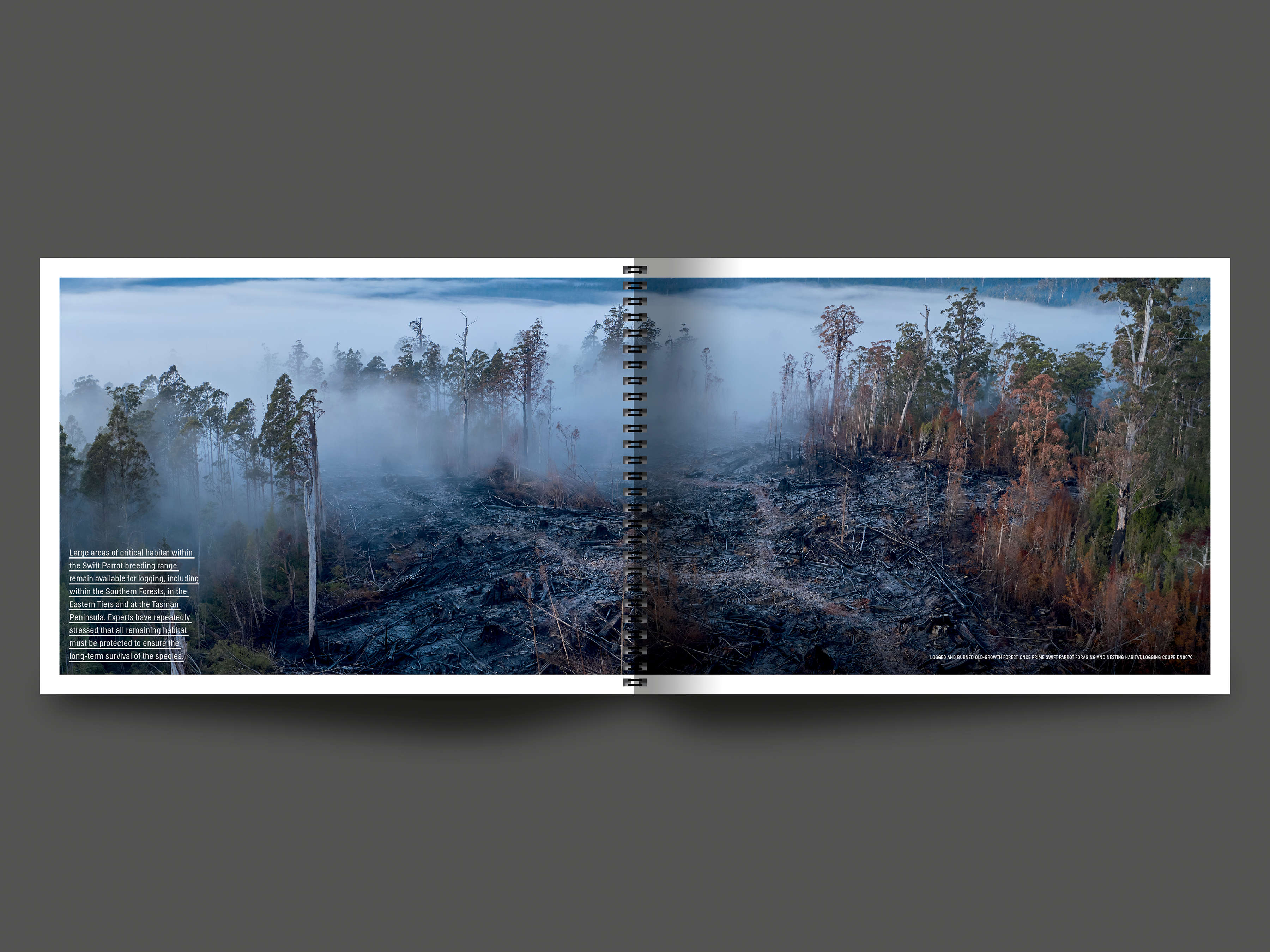 A double page spread from the book featuring logged and burned old-growth forest that was once prime Swift Parrot foraging and nesting habitat.