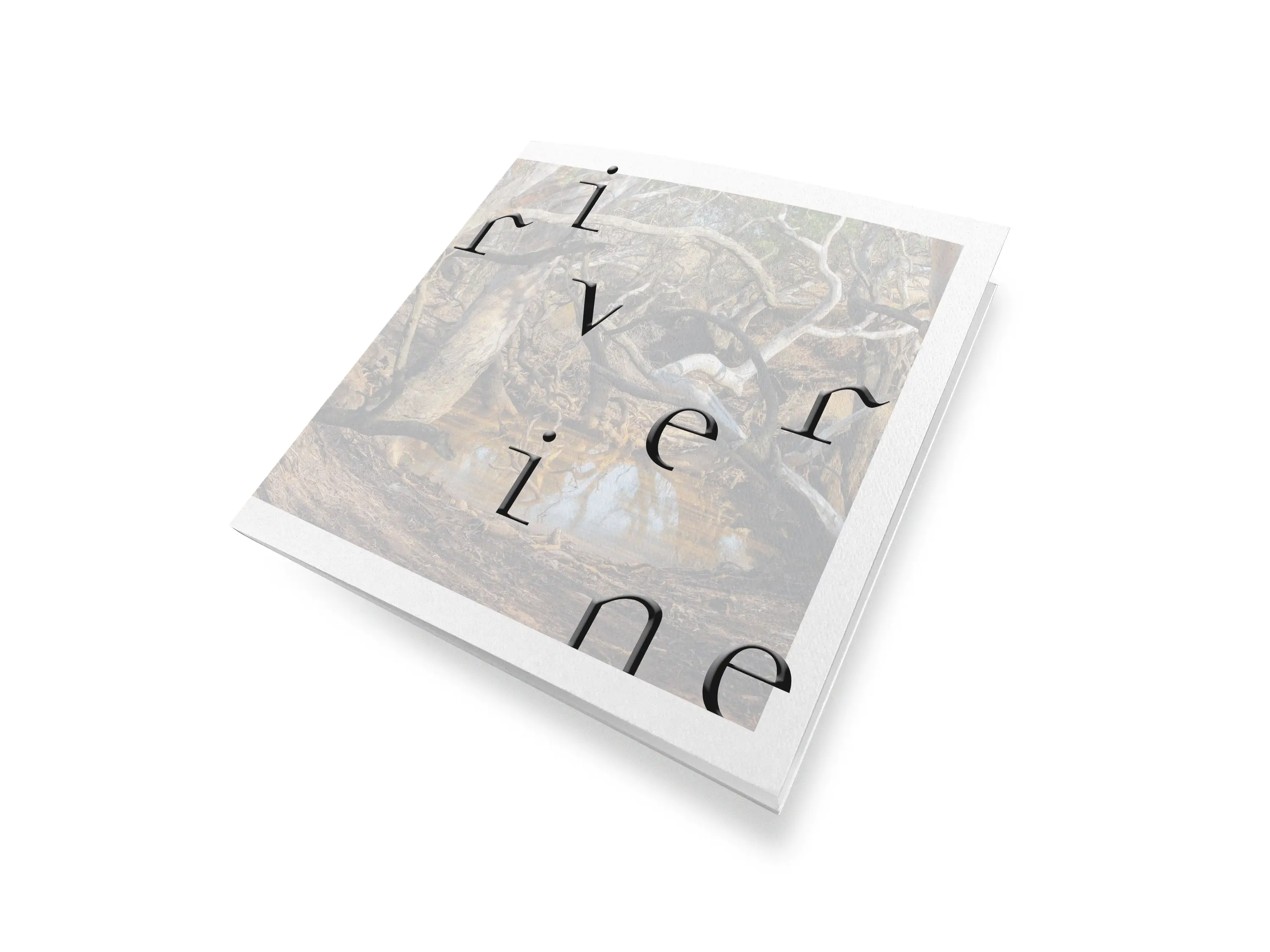 An image of a book cover with scattered lowercase black text spelling out the word &lsquo;riverine&rsquo;.