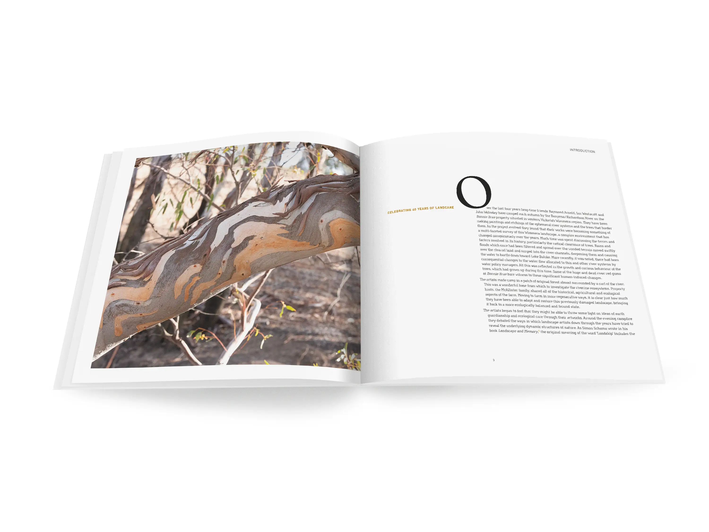 A double-page spread from a book with a close up photograph of a tree branch with orange and brown bark on the left-hand side and text with the heading &lsquo;Celebrating 40 Years of Landcare&rsquo; on the right-hand side.