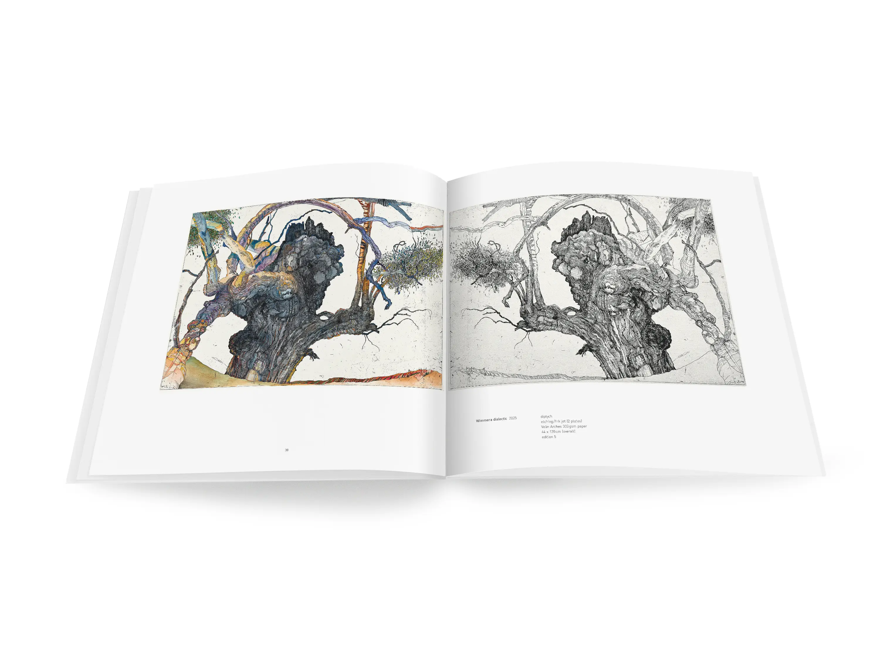 A double-page spread from a book with images of two giant river red gums with thick trunks and twisted branches displayed as mirror images of each other. The left-hand image is brightly coloured and the right-hand image is in black and white.
