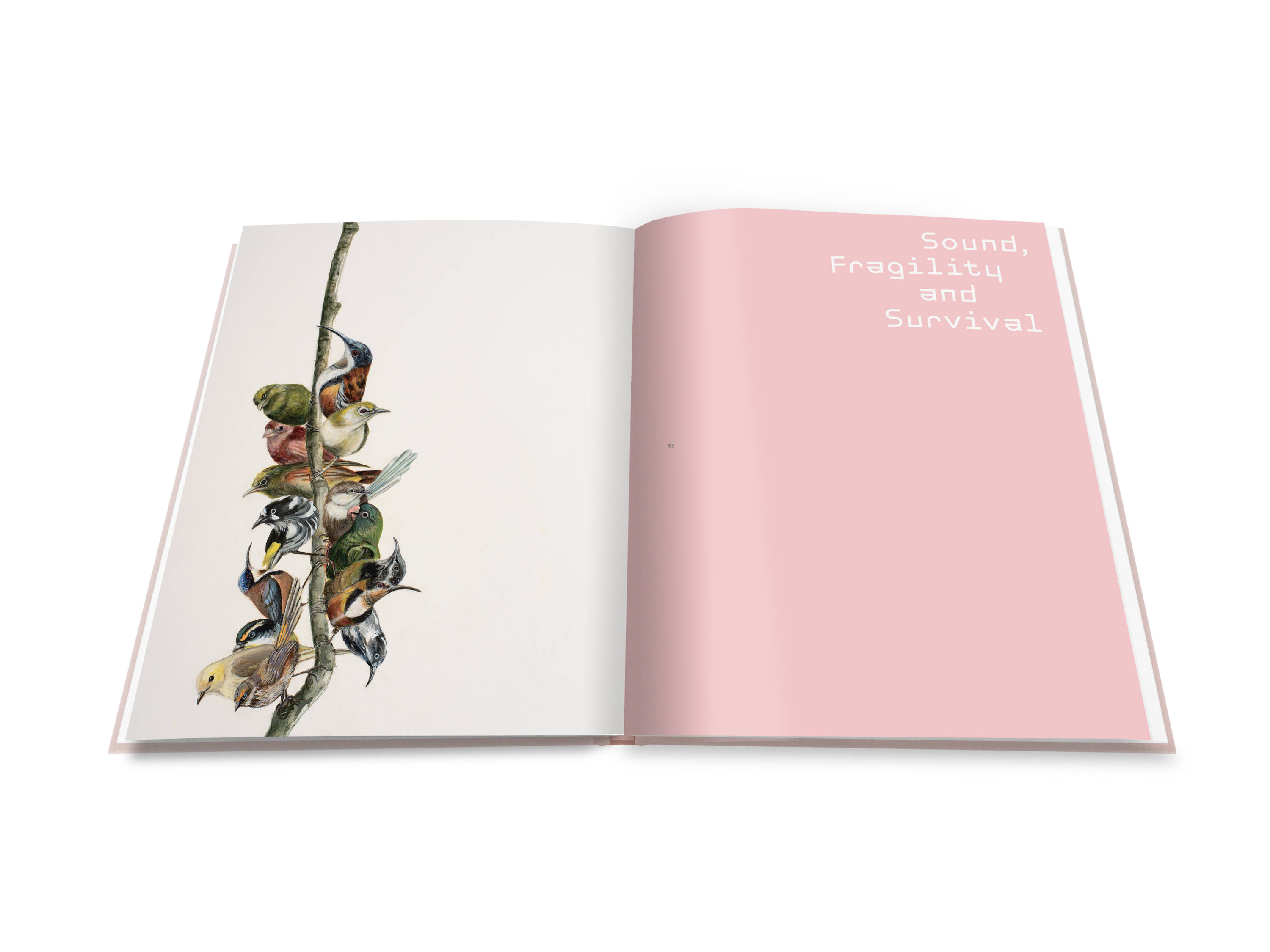 A double page spread from Shapeshifting : Helen Wright with the chapter title ‘Sound Fragility and Survival’ on a pink page, and illustrated with a large oil painting of a branch with a cluster of birds.