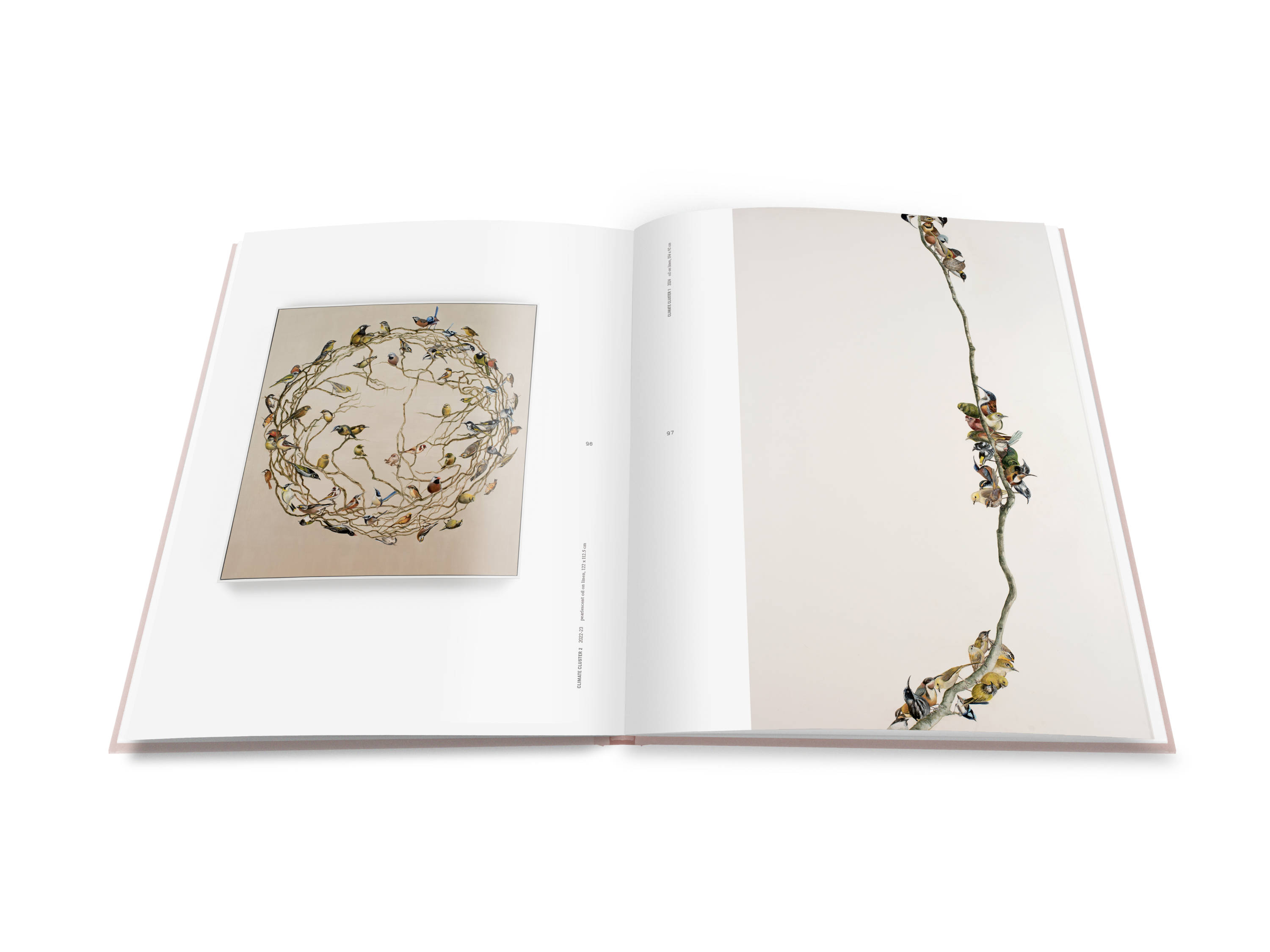 A double page spread from Shapeshifting : Helen Wright with two oil paintings of birds. One painting has a circular wreath-shaped mass of branches containing dozens of different birds. The other is of a branch with three clusters of birds clinging along its length.