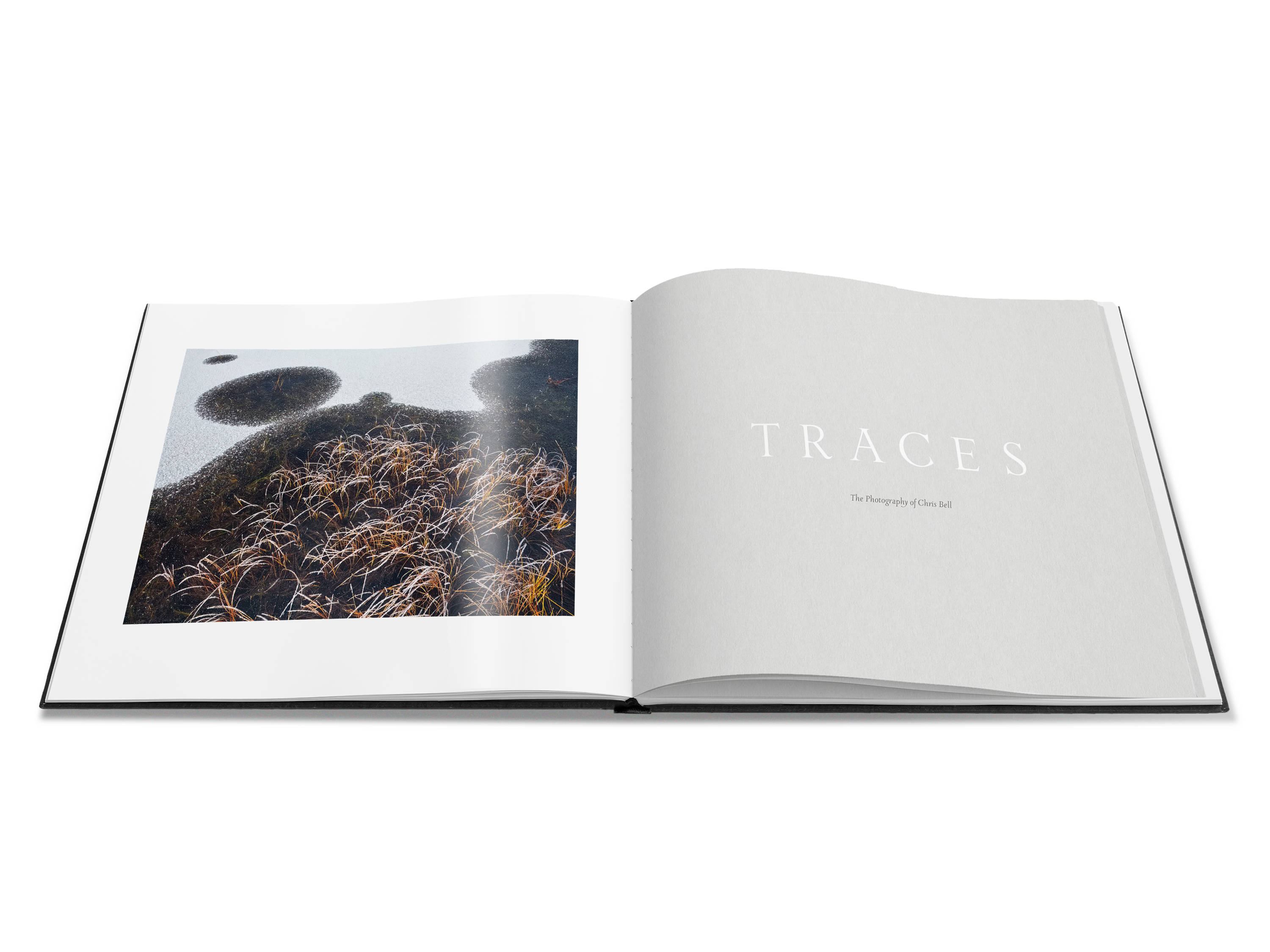 Image of a double page spread from the book featuring a photograph of a frozen pond, melting snow and emergent reeds.