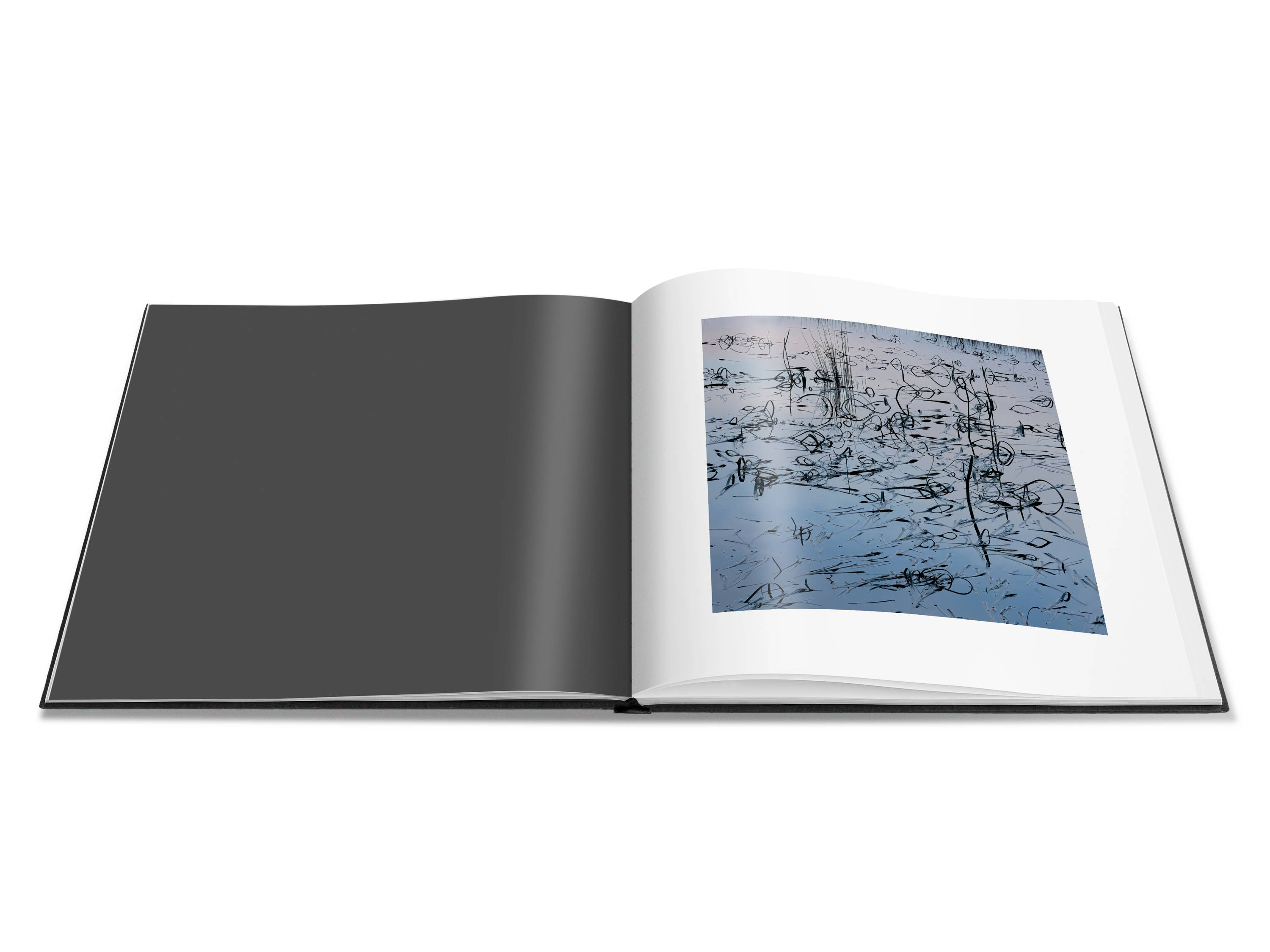 Image of a double page spread from the book featuring a photograph of a pond reflecting the purple and pink morning light onto a bed of reeds.