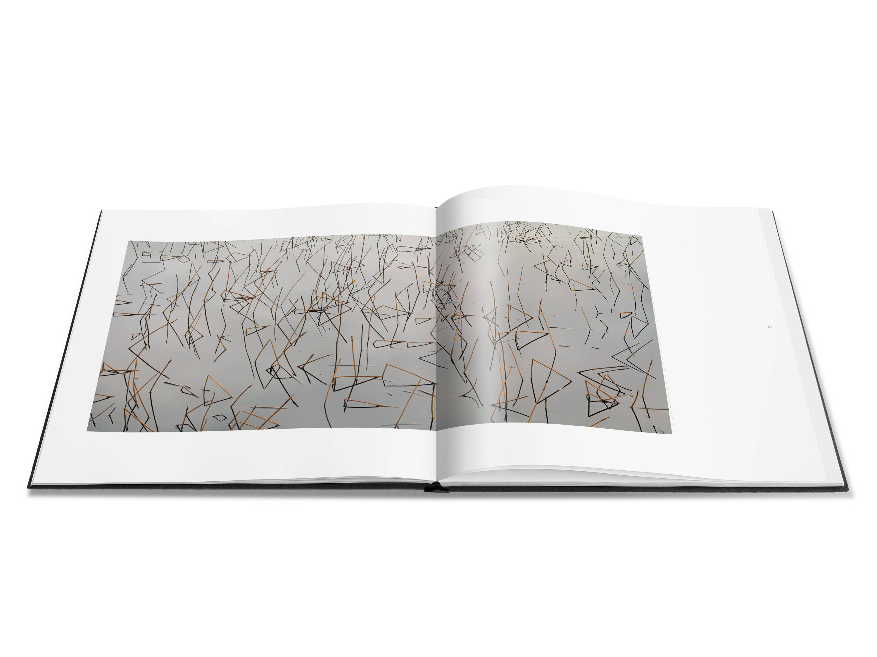Image of a double page spread from the book featuring a photograph of a pond with yellow and brown reeds bent and folded in a variety of linear shapes.