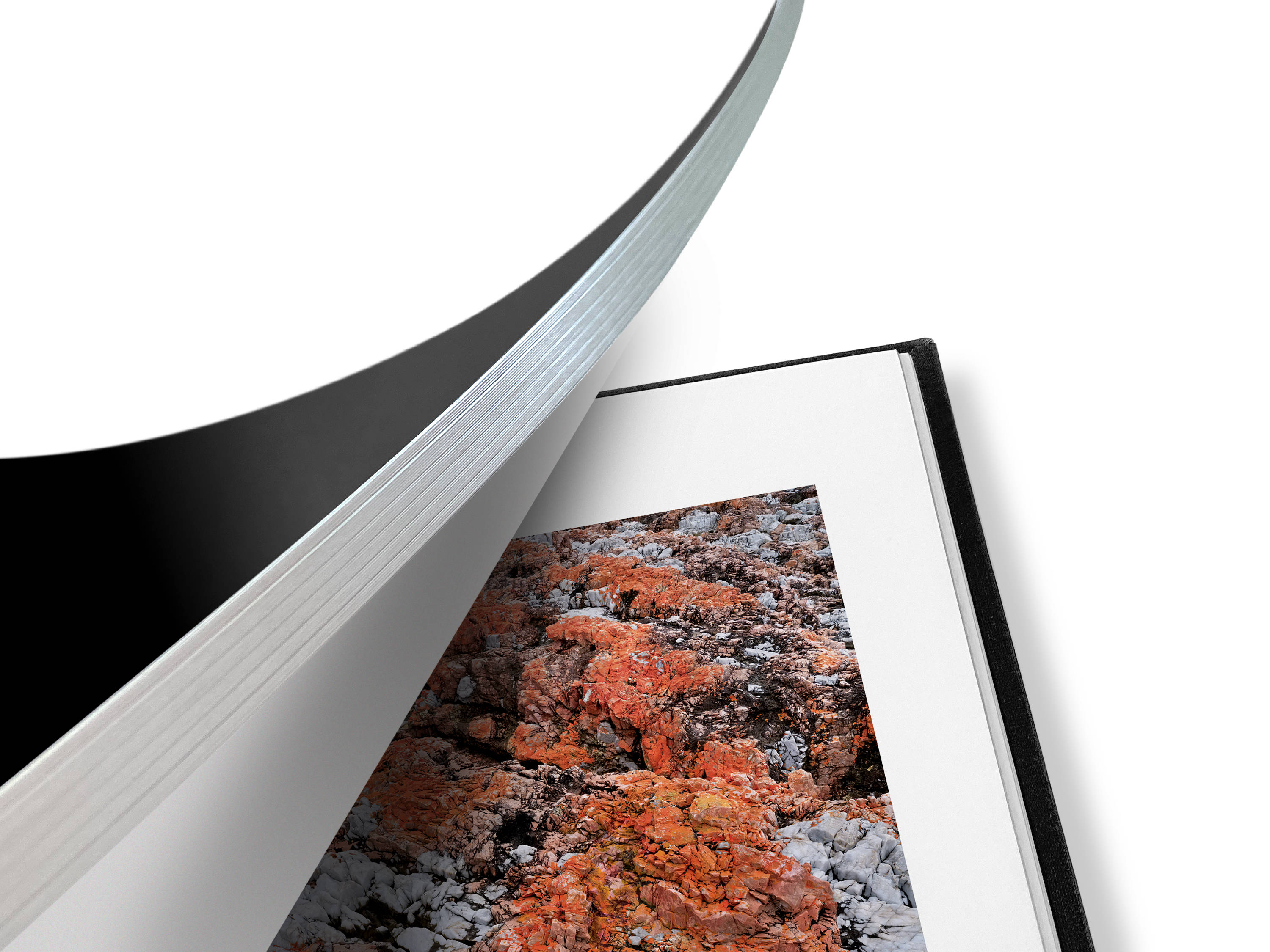 Image of a partly open book featuring a close up of the silver gilding on the exposed edges and a glimpse inside of bright orange lichen covered quartzite rock.