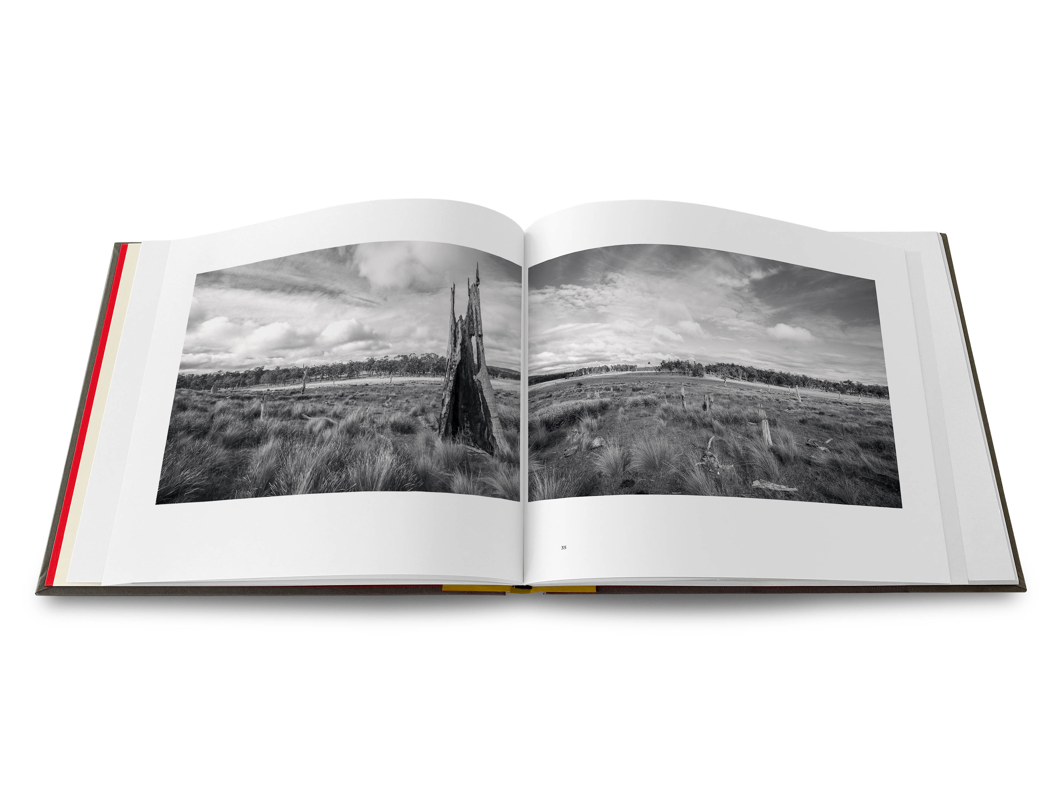 An image of a double-page spread from the Uninnocent Landscapes book with an image of a large hollow tree stump and open country.